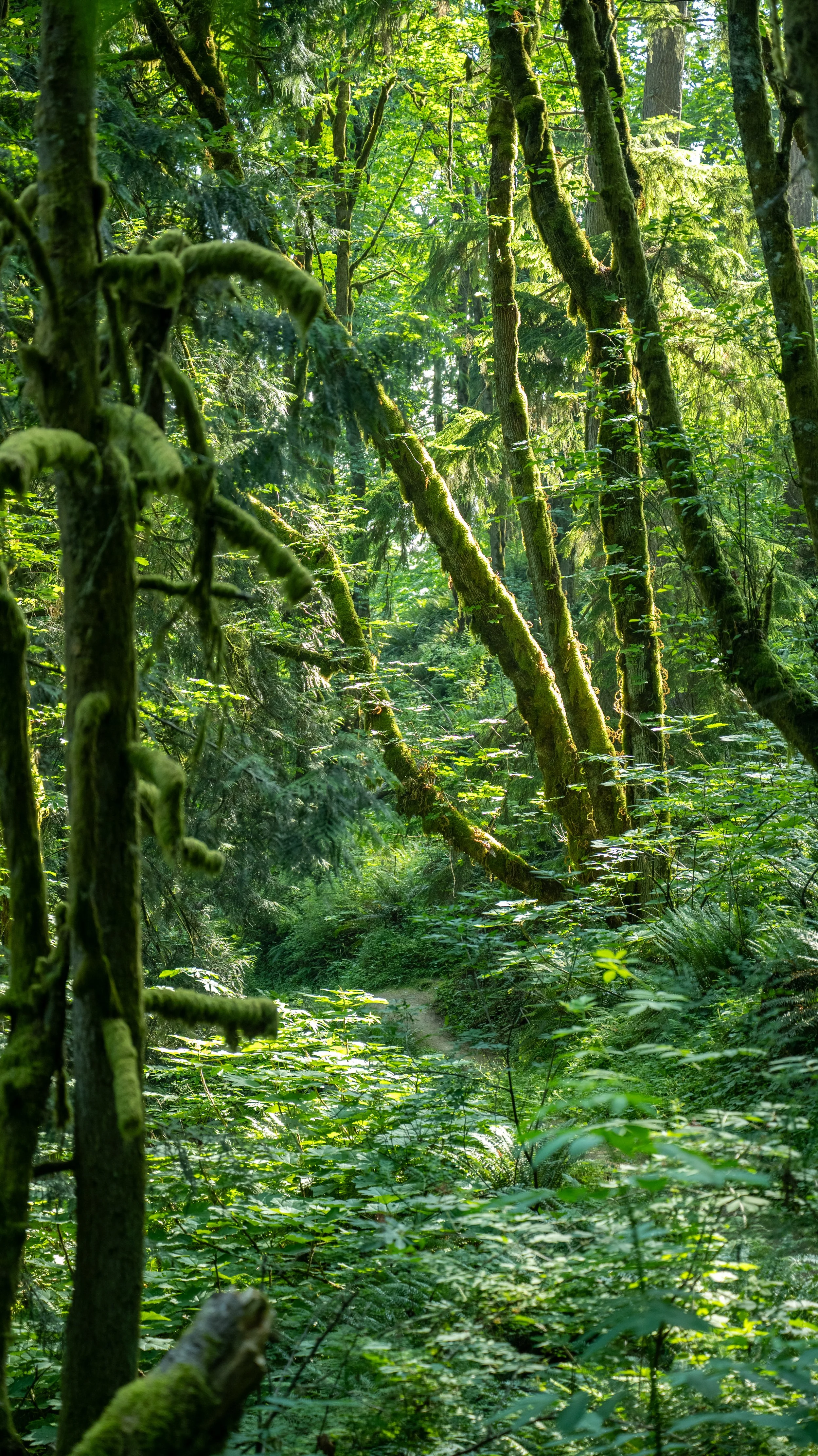 AndersonxAluise-0523-2525SBIJNDwilqeurgheo