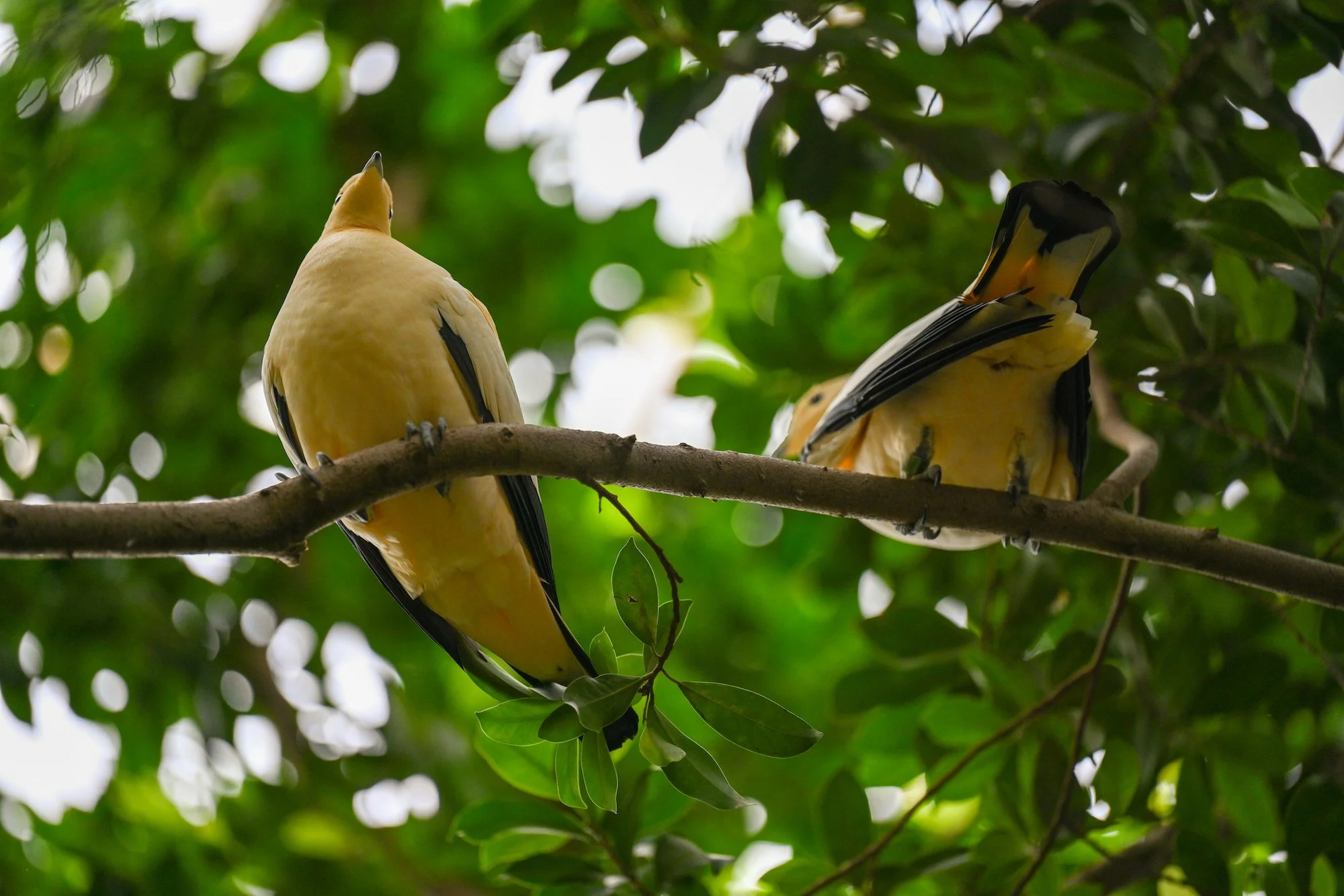 20240613-hd-christtempleSBIJNDwilqeurgheo
