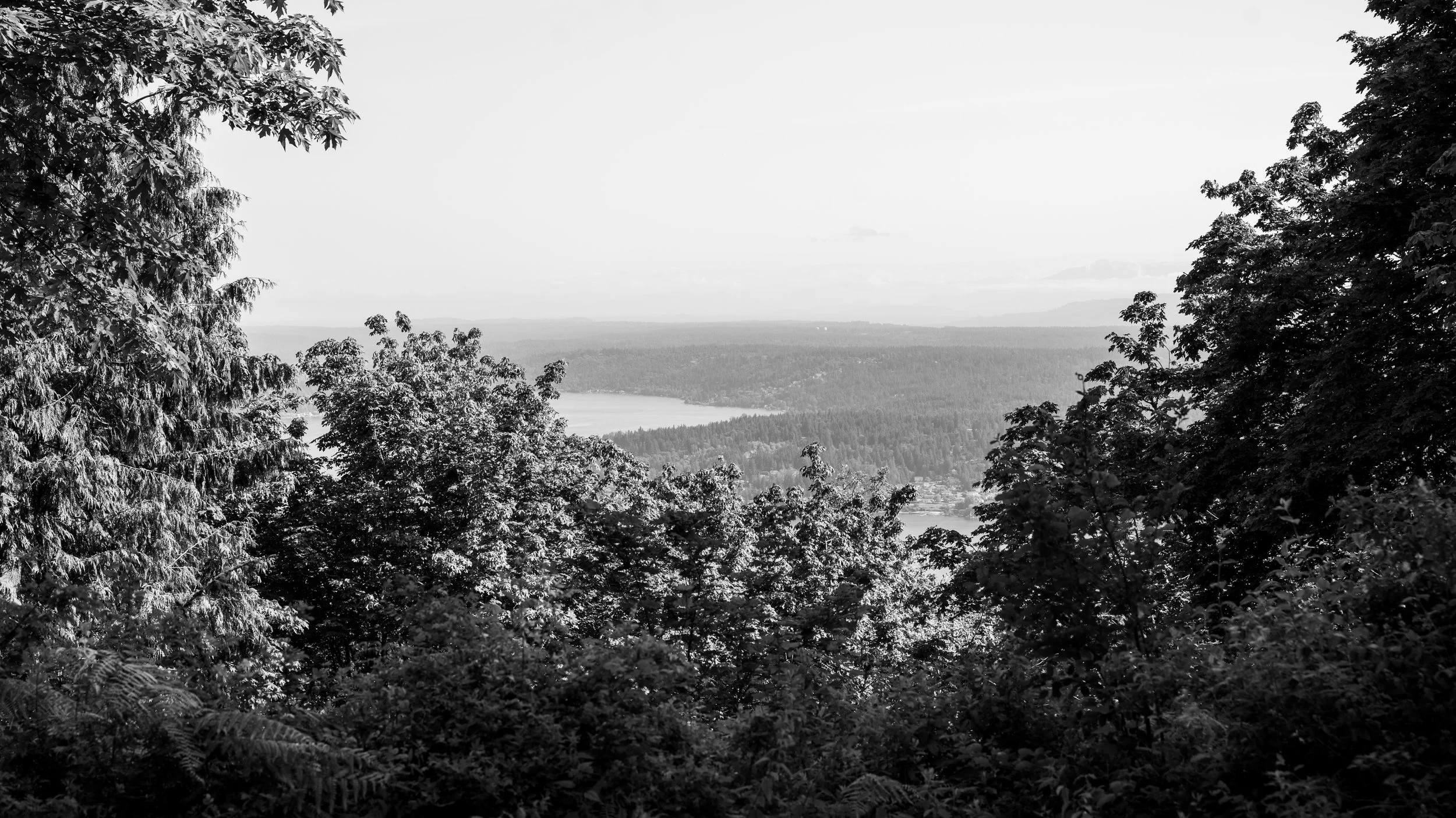 AndersonxAluise-0523-2525SBIJNDwilqeurgheo