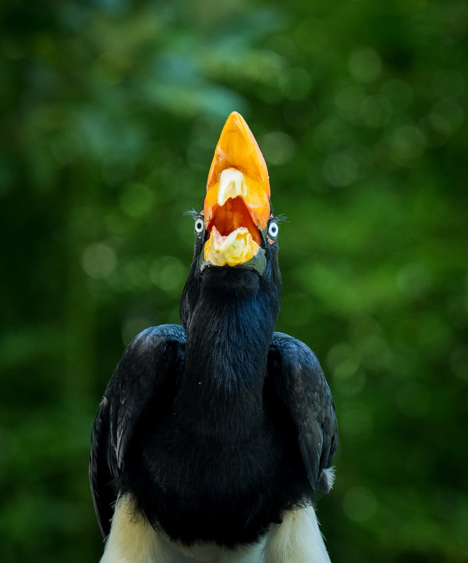 AndersonxAluise-0523-2525SBIJNDwilqeurgheo