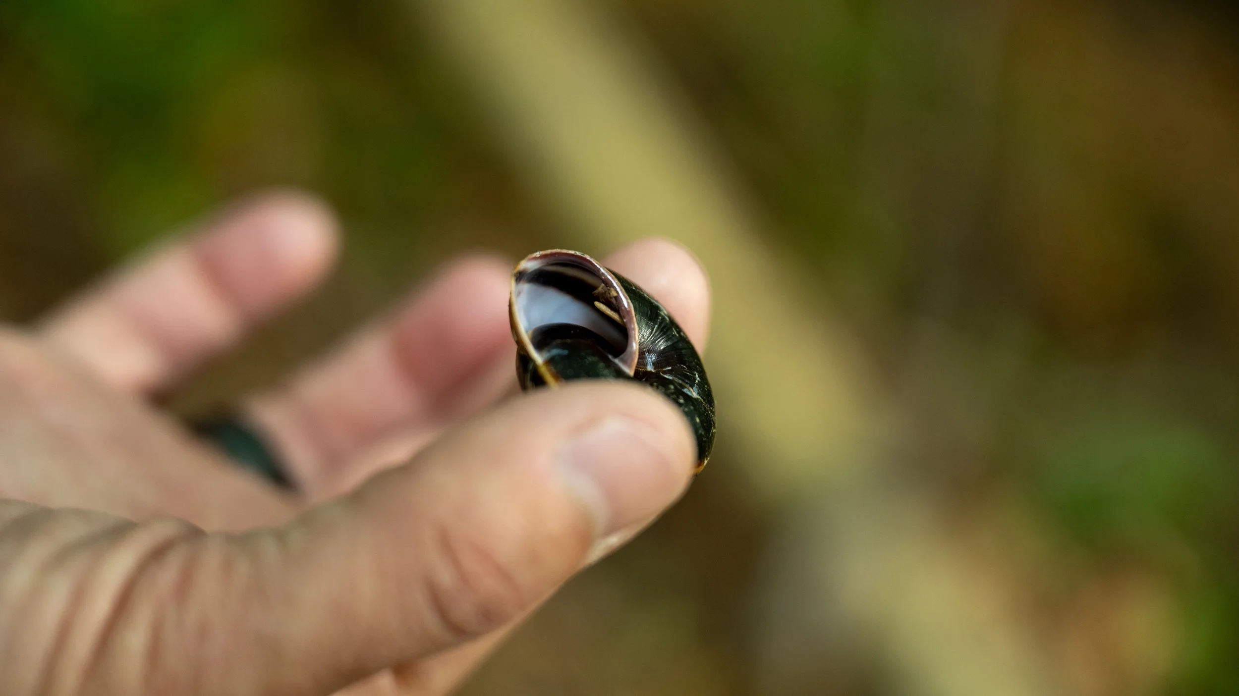 AndersonxAluise-0523-2525SBIJNDwilqeurgheo