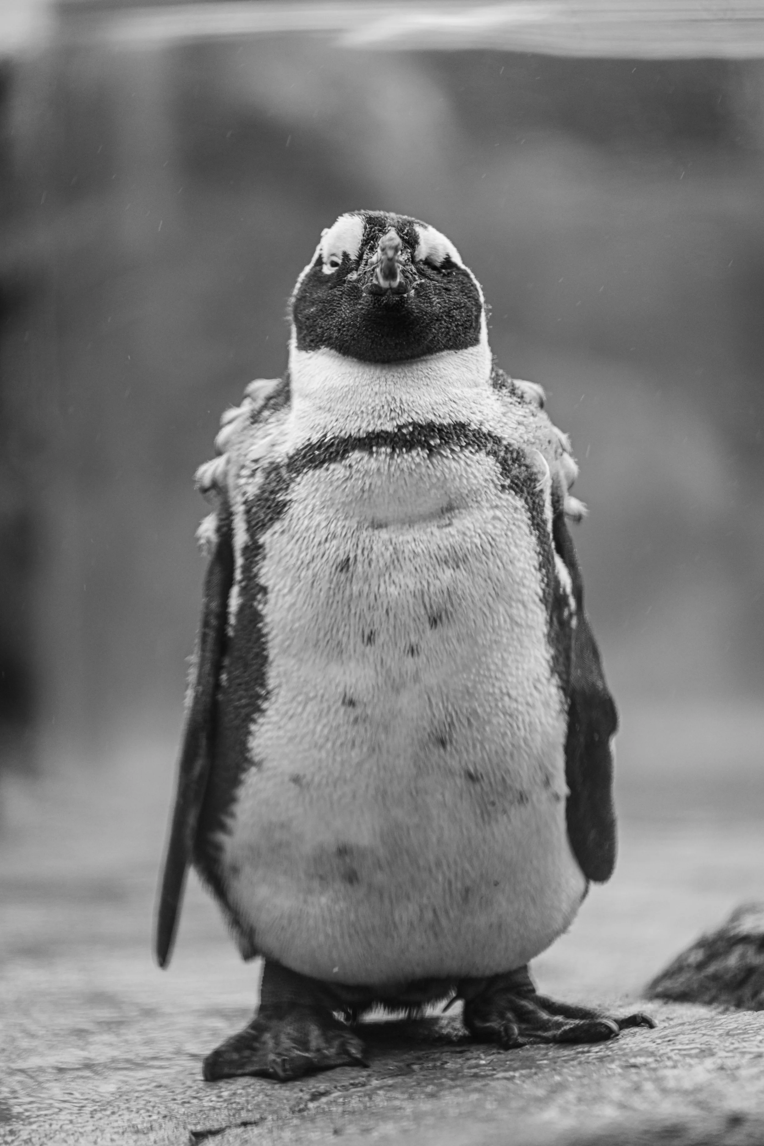 20240613-hd-christtempleSBIJNDwilqeurgheo