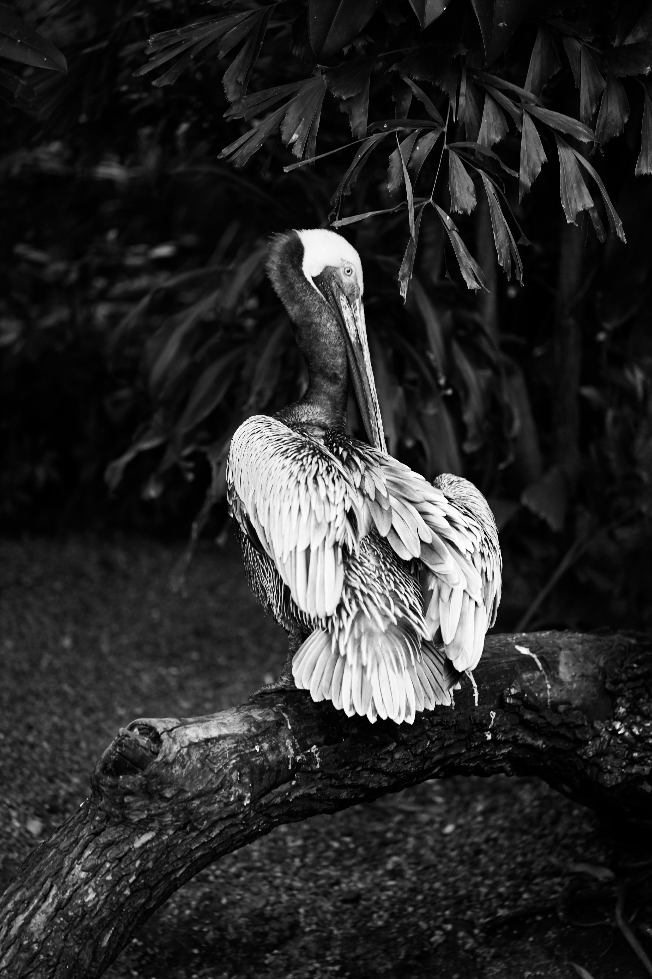 20240613-hd-christtempleSBIJNDwilqeurgheo