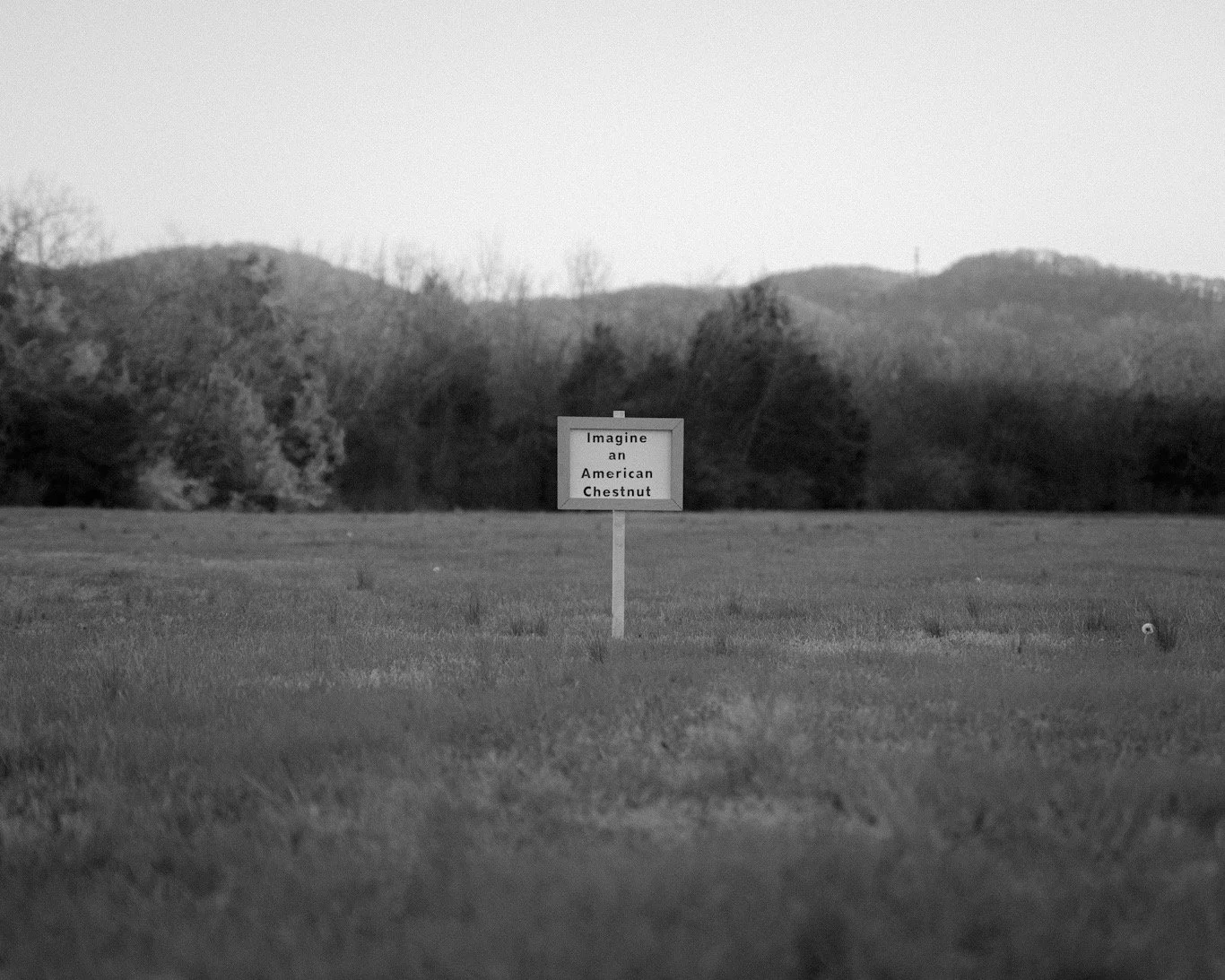 B3B2BE1C-01D8-4A4B-8E76-563F3E866BF0 (1).JPEG