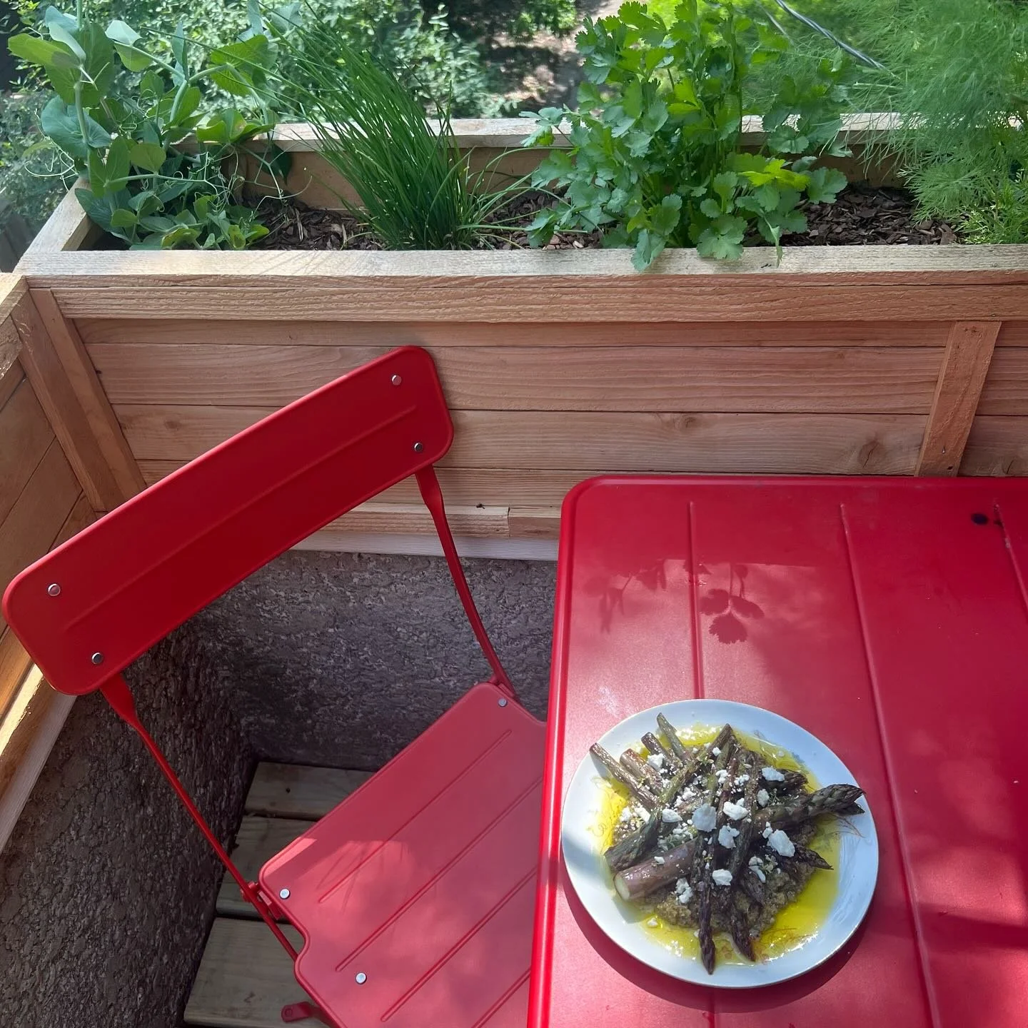 Purple asparagus w/ hazelnut herb garden pesto, feta, and a pool of olive oil 🏊