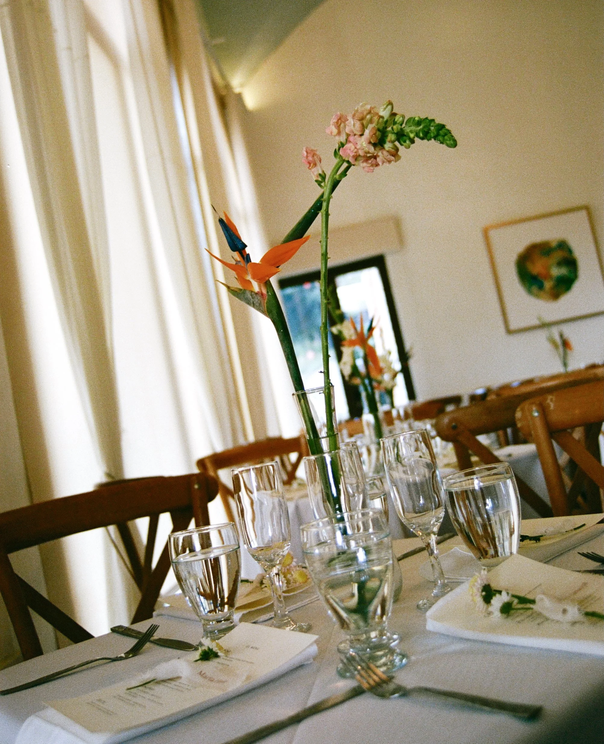 Heidi x Andrés Film 97.JPEG