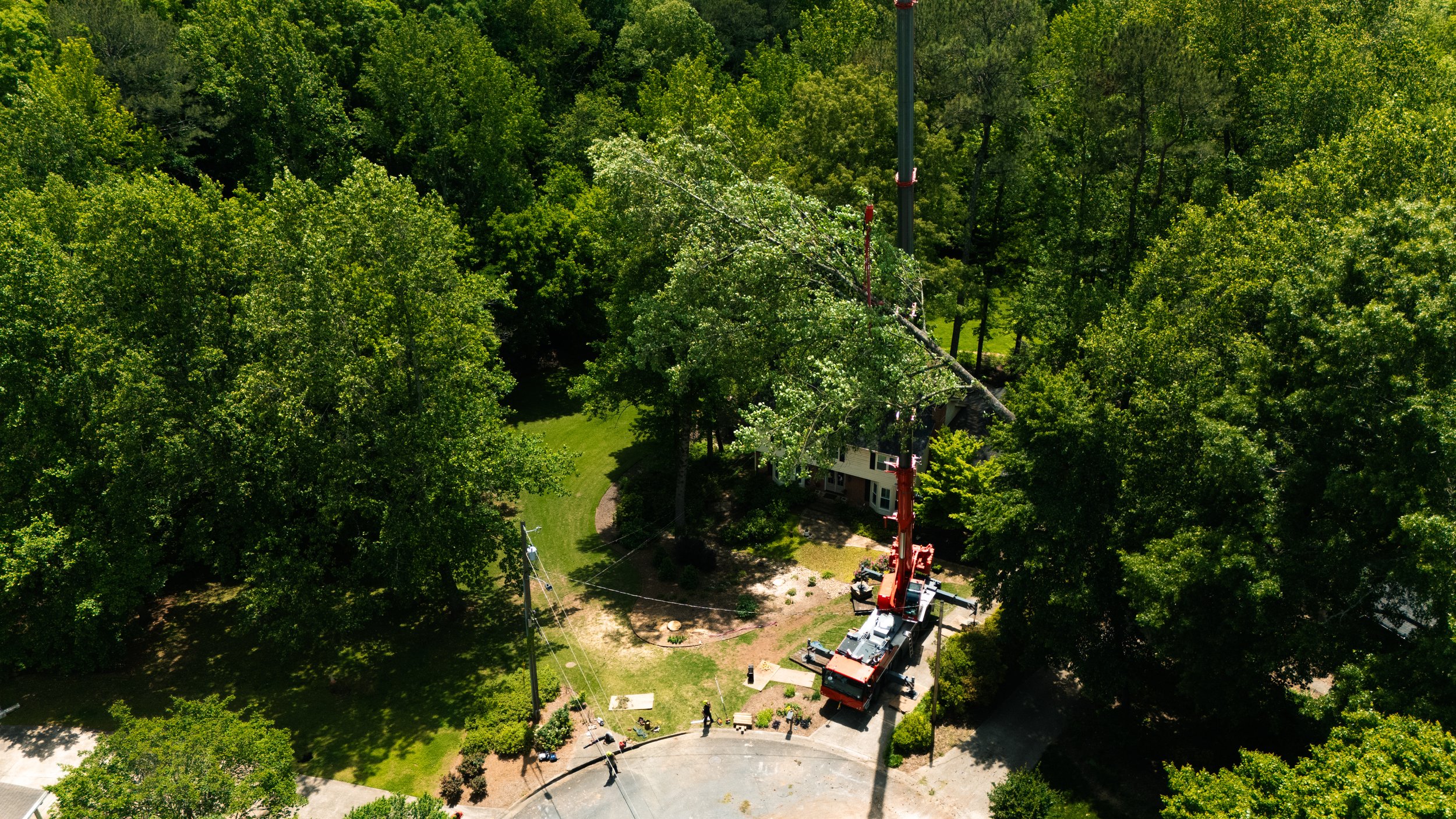 An aerial view of a large green tree with a hydraulic lift working on power lines, and a house partially visible underneath, surrounded by dense trees and a grassy area. Beasley Tree Experts North Georgia, Metro Atlanta, Cherokee County