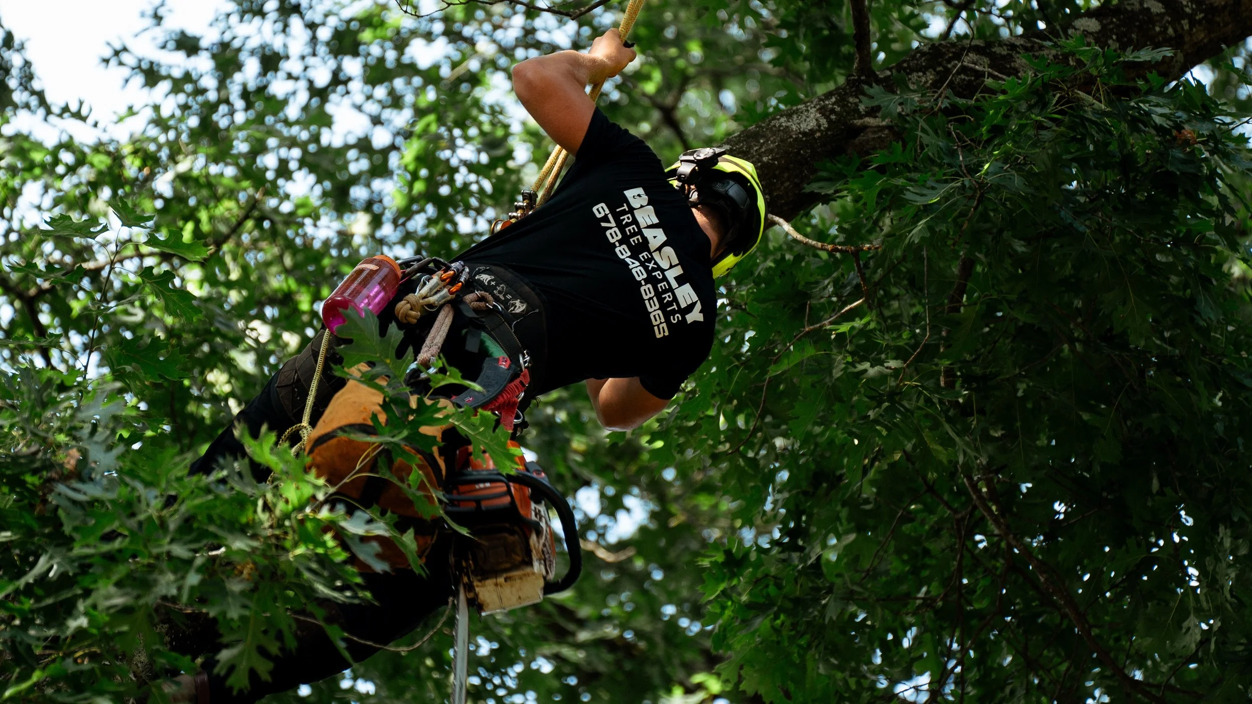 ISA certified arborist cutting a tree branch in Cherokee County, Georgia