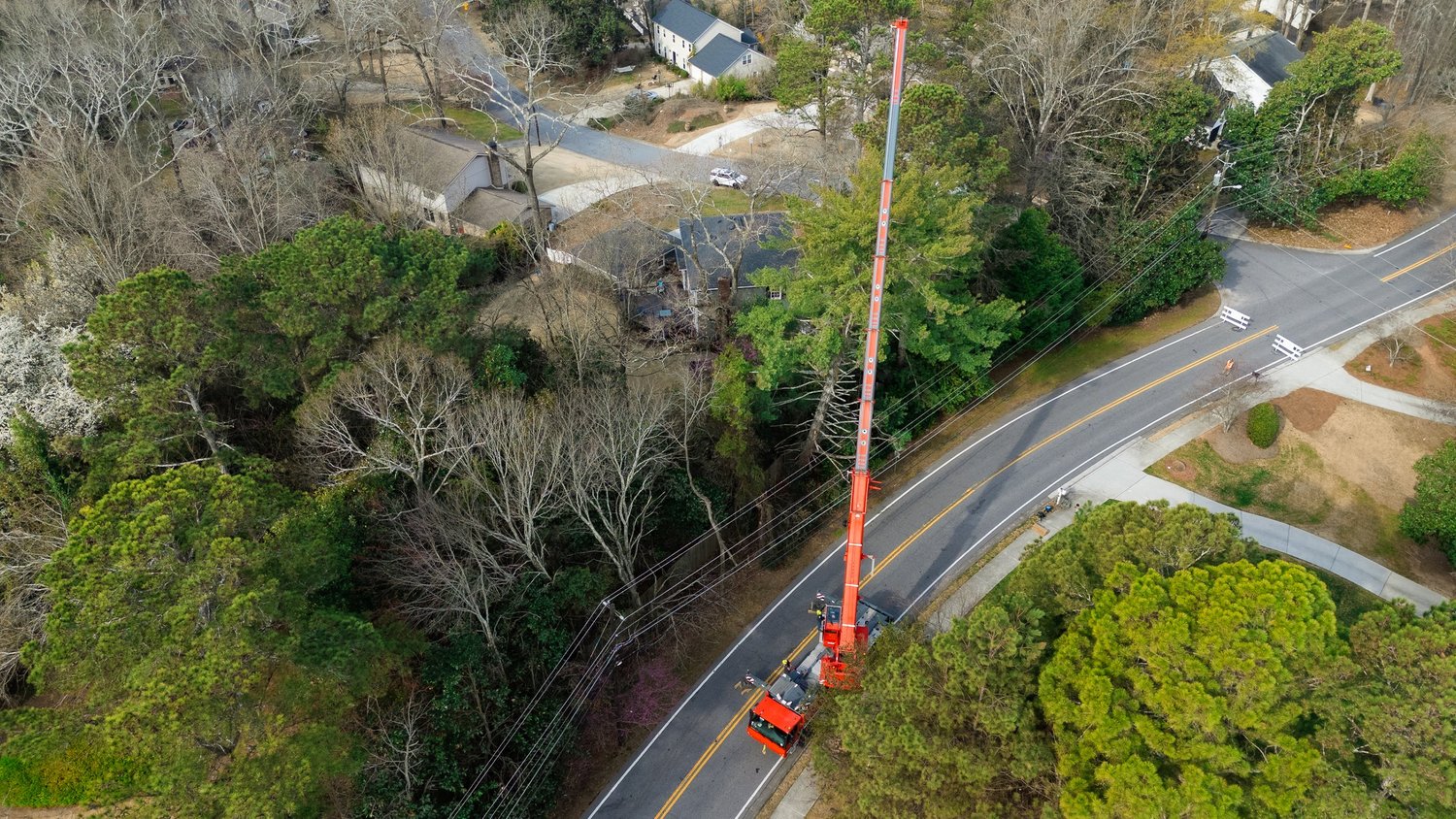 Beasley Tree Experts — Cherokee County & Metro Atlanta Tree Service