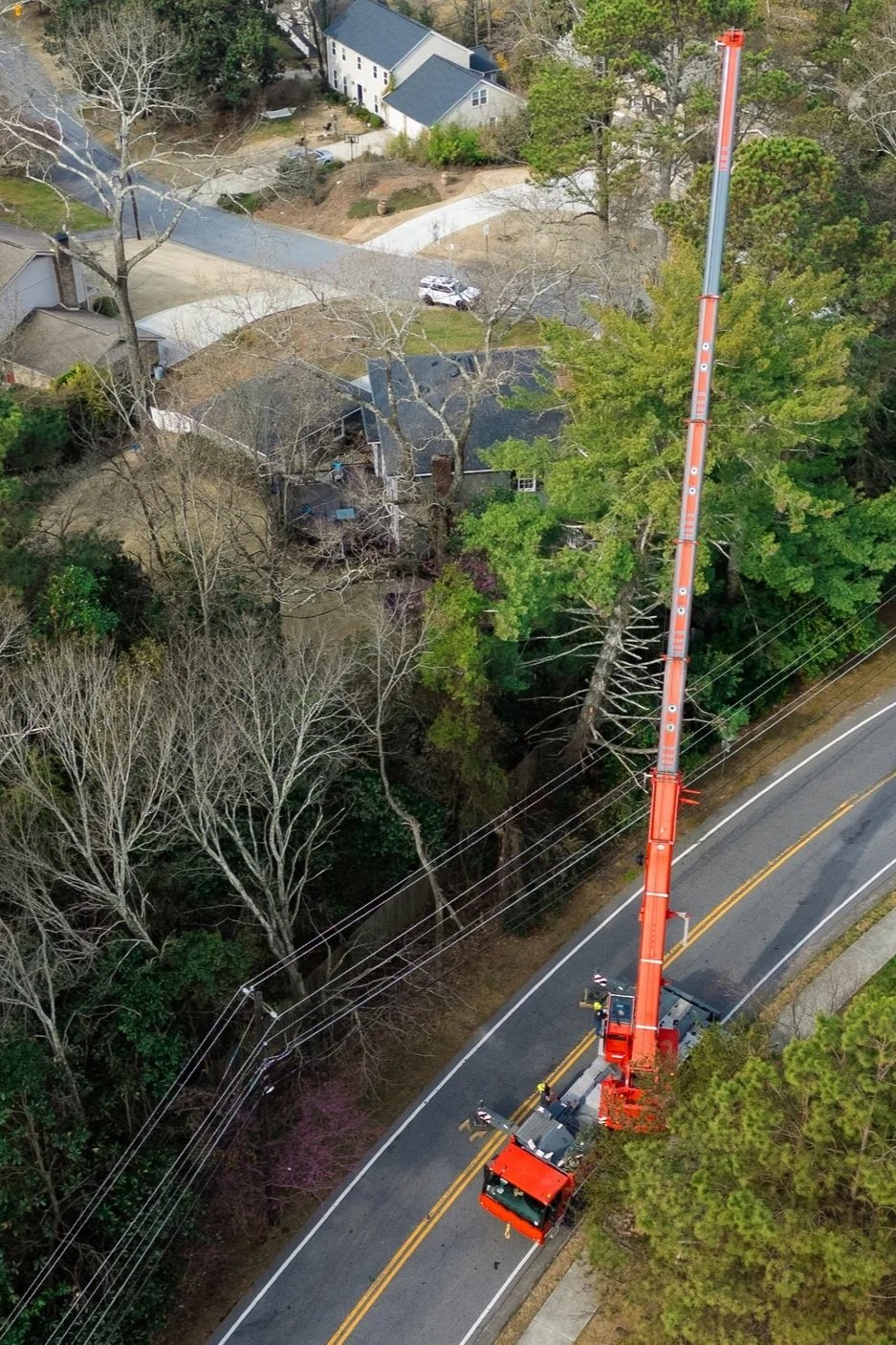 110-ton Liebherr crane extracting a large tree section near overhead utility lines