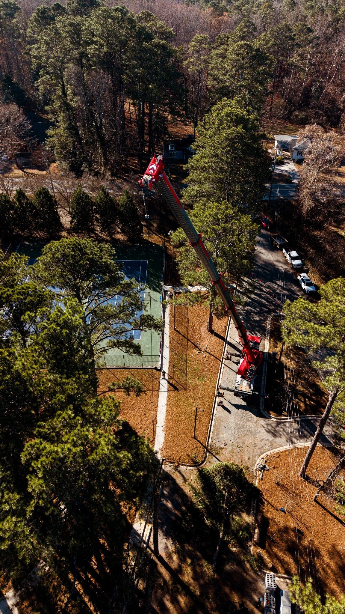 110-ton crane performing canopy-safe tree removal near public park courts
