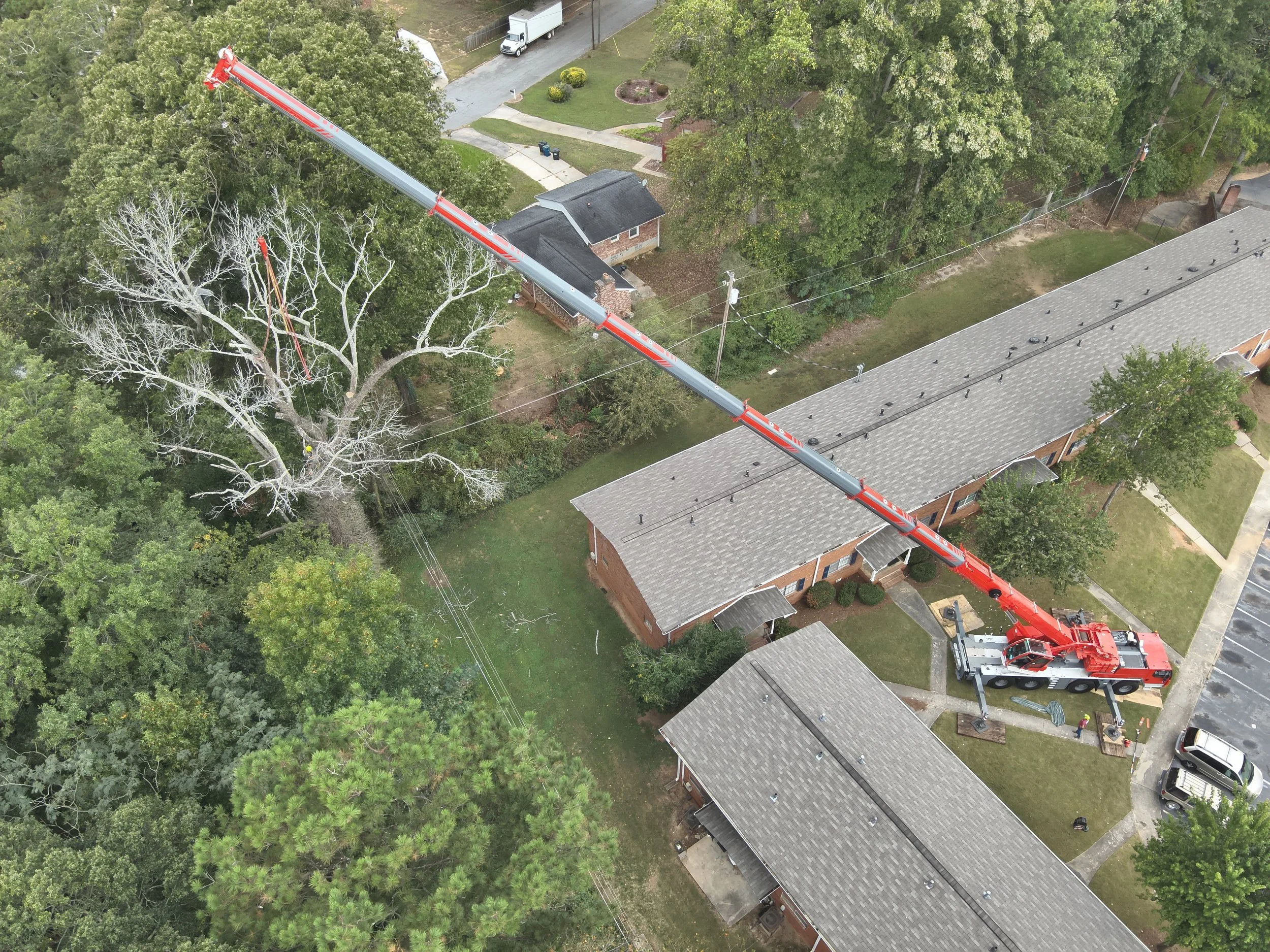 110-ton crane performing commercial tree removal along a residential roadway