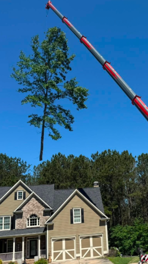 Beasley Tree Experts 110-ton Liebherr crane set up for emergency tree removal on a residential street in Cherokee County, Georgia