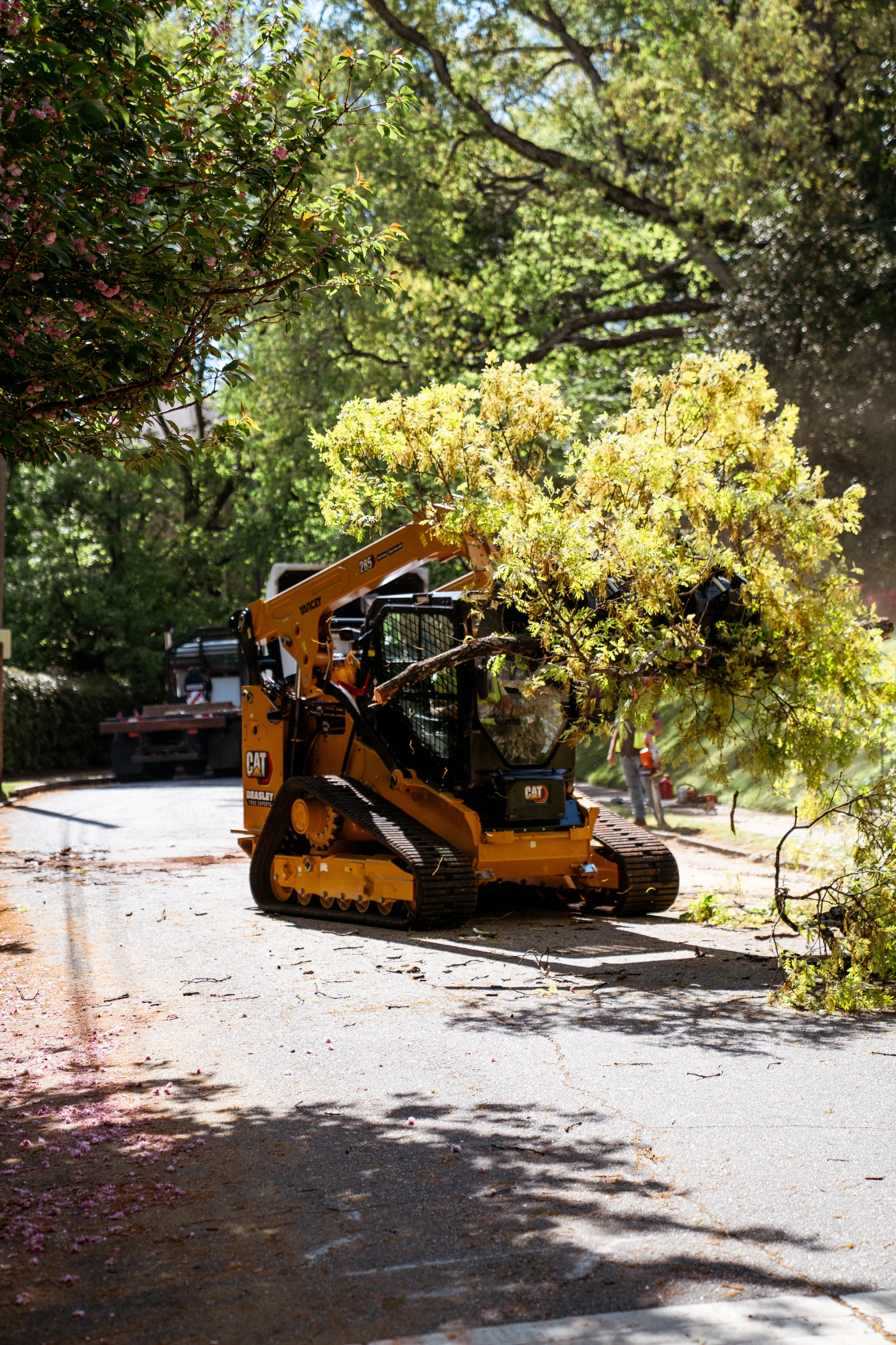 Land clearing project in progress in Cherokee County