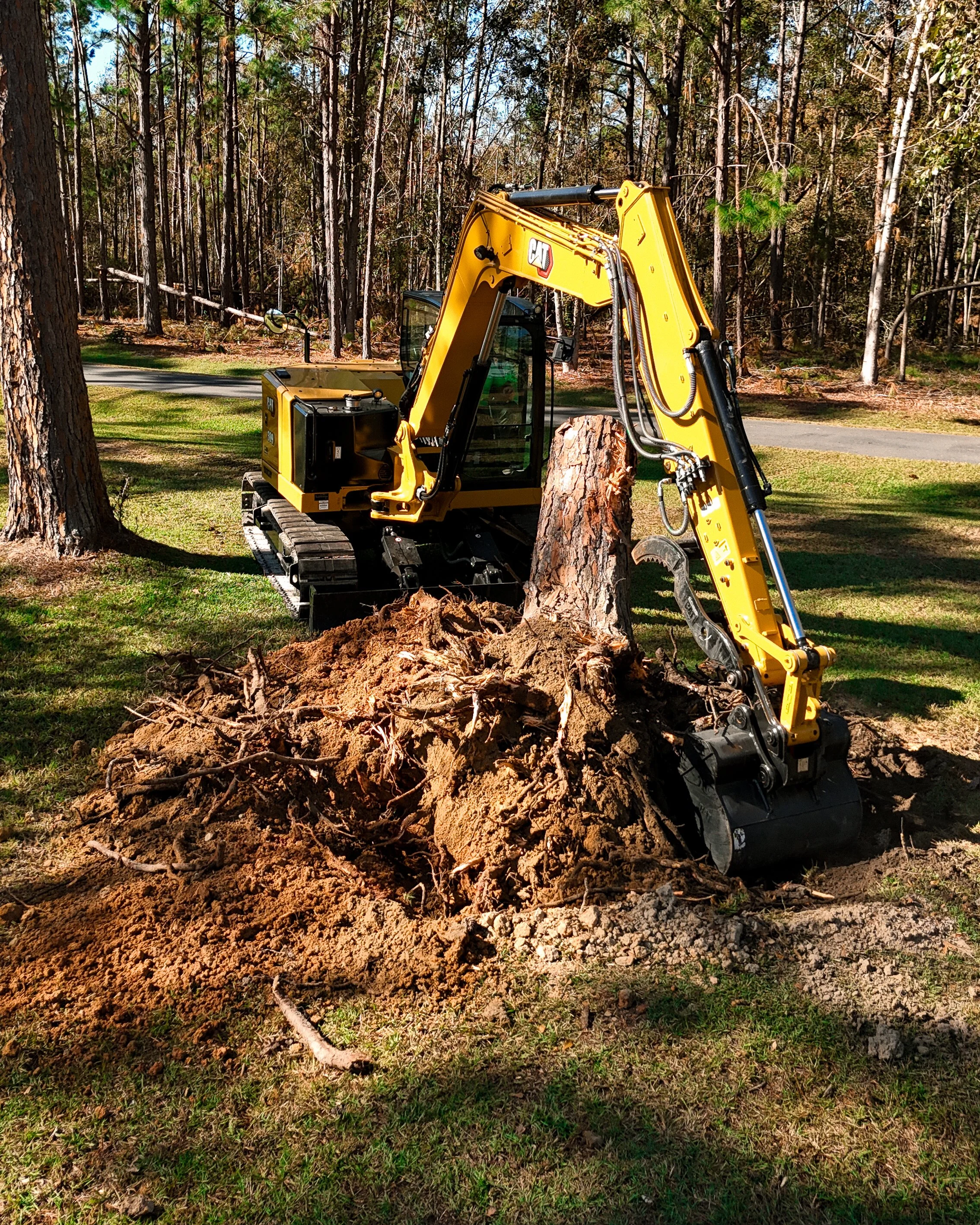 Beasley crew clearing tree debris during a land clearing project