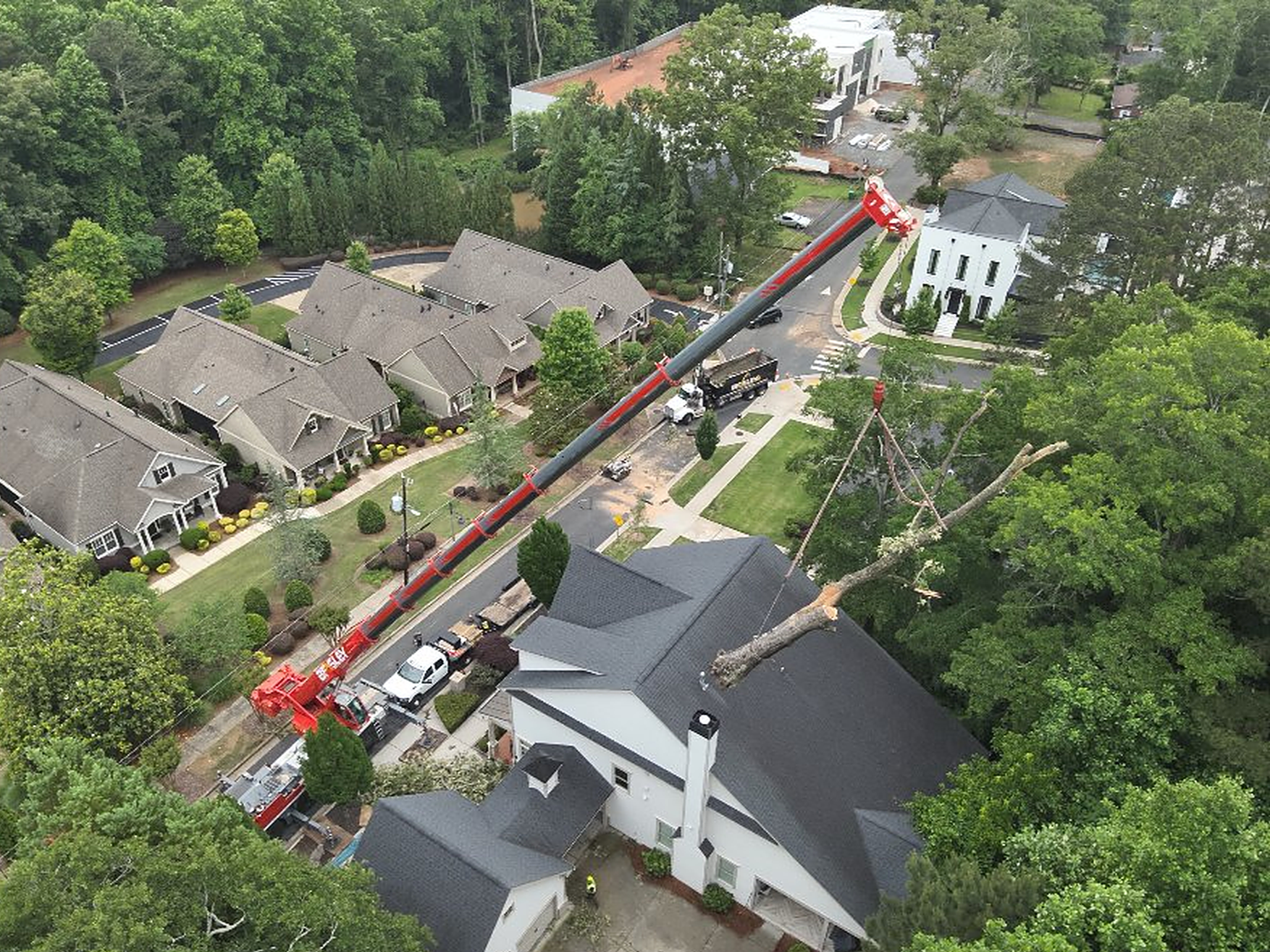 During photo of 110-ton Liebherr crane removing fallen tree in sections