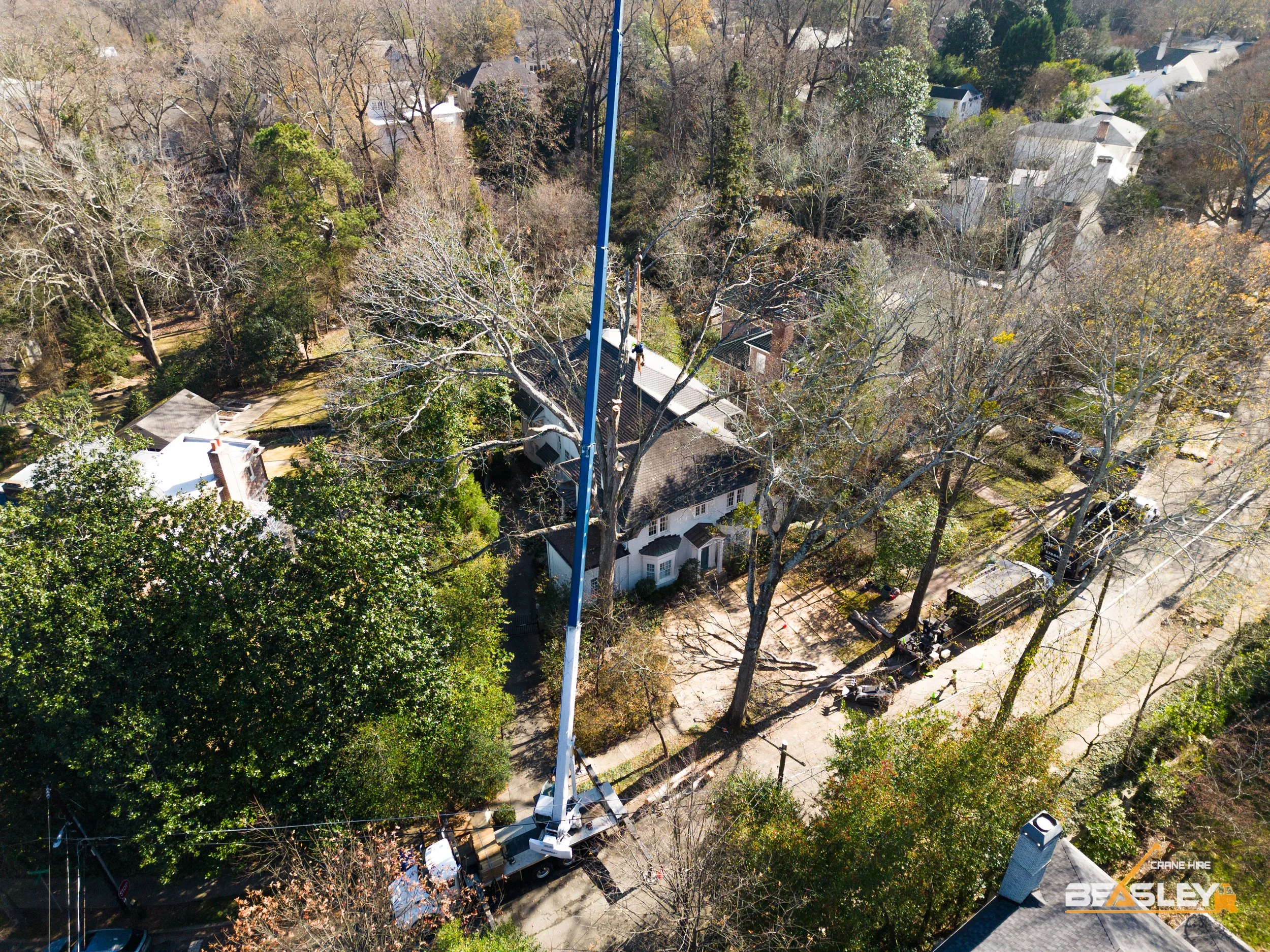 Beasley Tree Experts - Tree Removal for Atlanta and the Metro Atlanta area