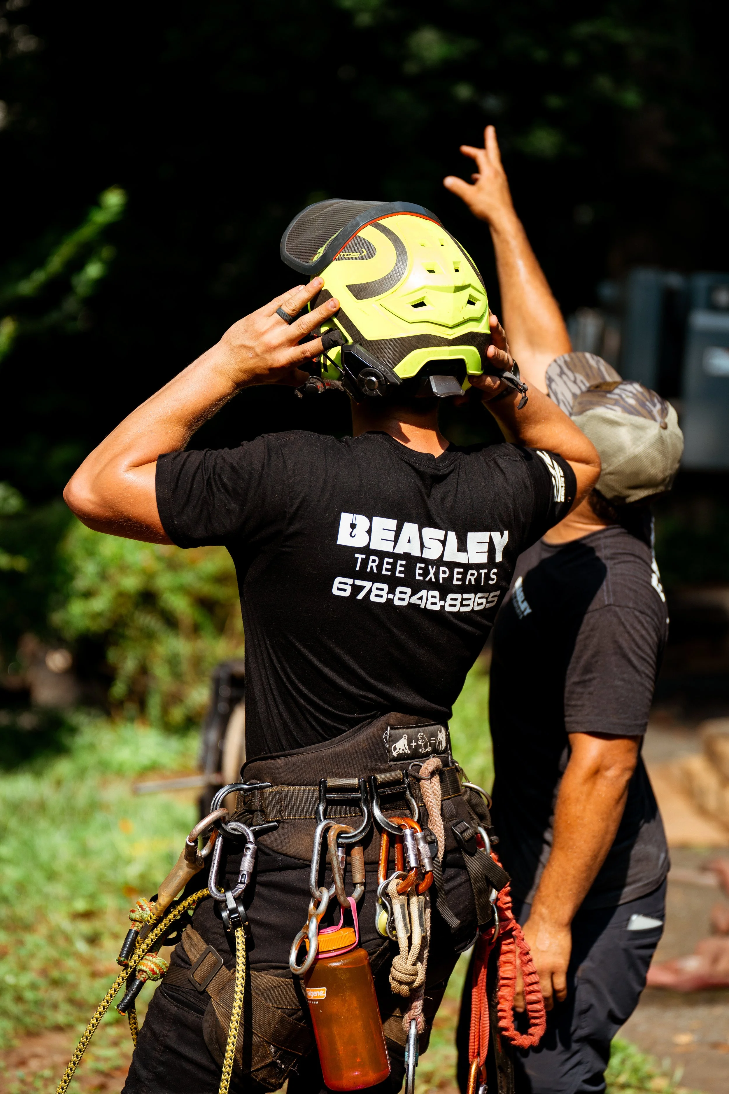 Arborist planning a tree removal job before work begins