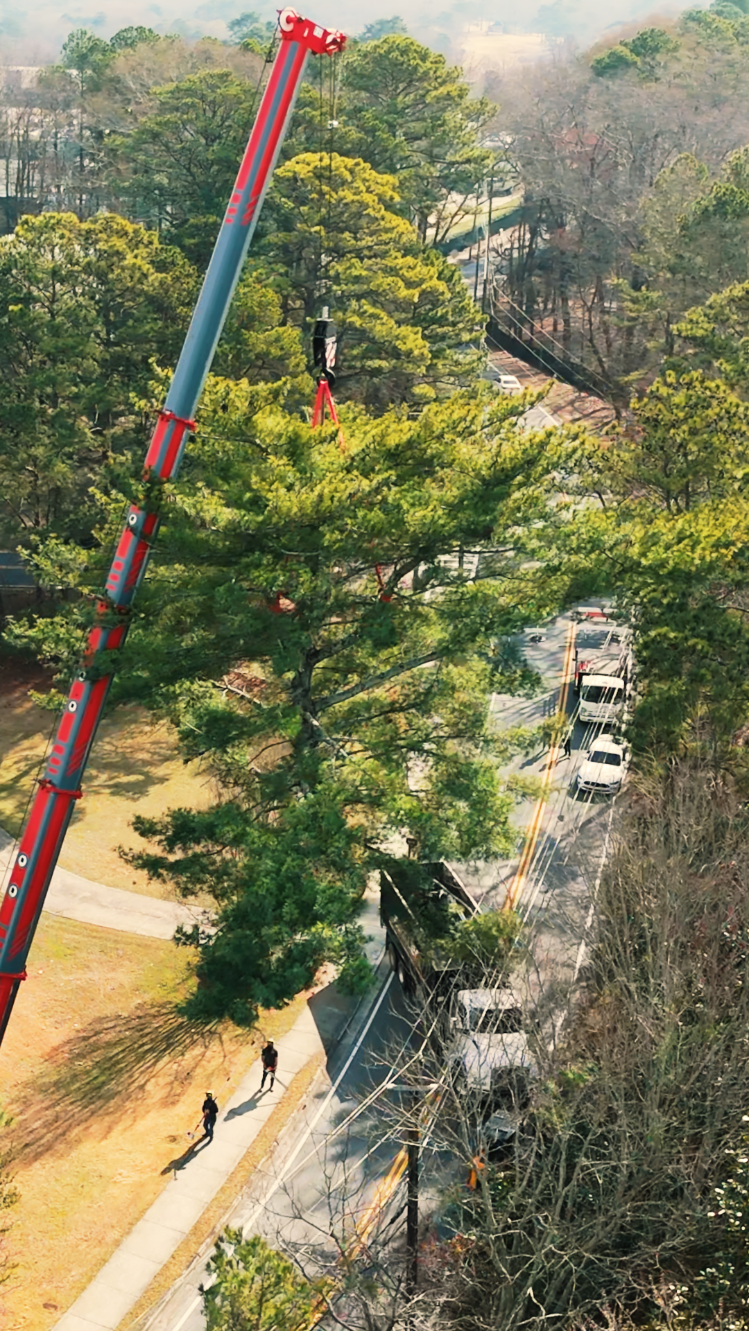 Beasley Tree Experts ISA certified crew using a 110-ton crane for tree trimming and pruning in Cherokee County, North Georgia
