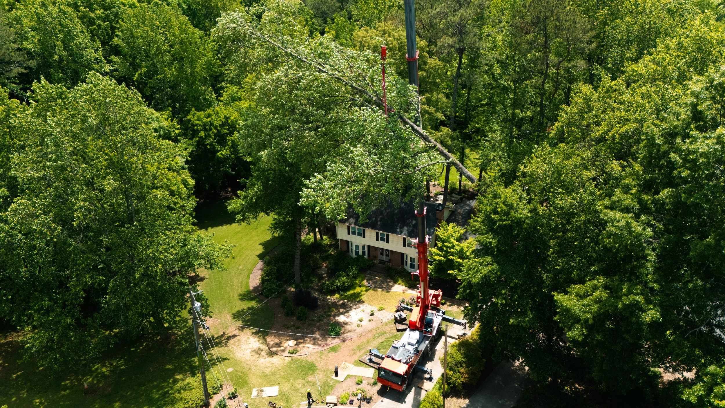 Crane accessing a tight backyard tree removal job surrounded by trees