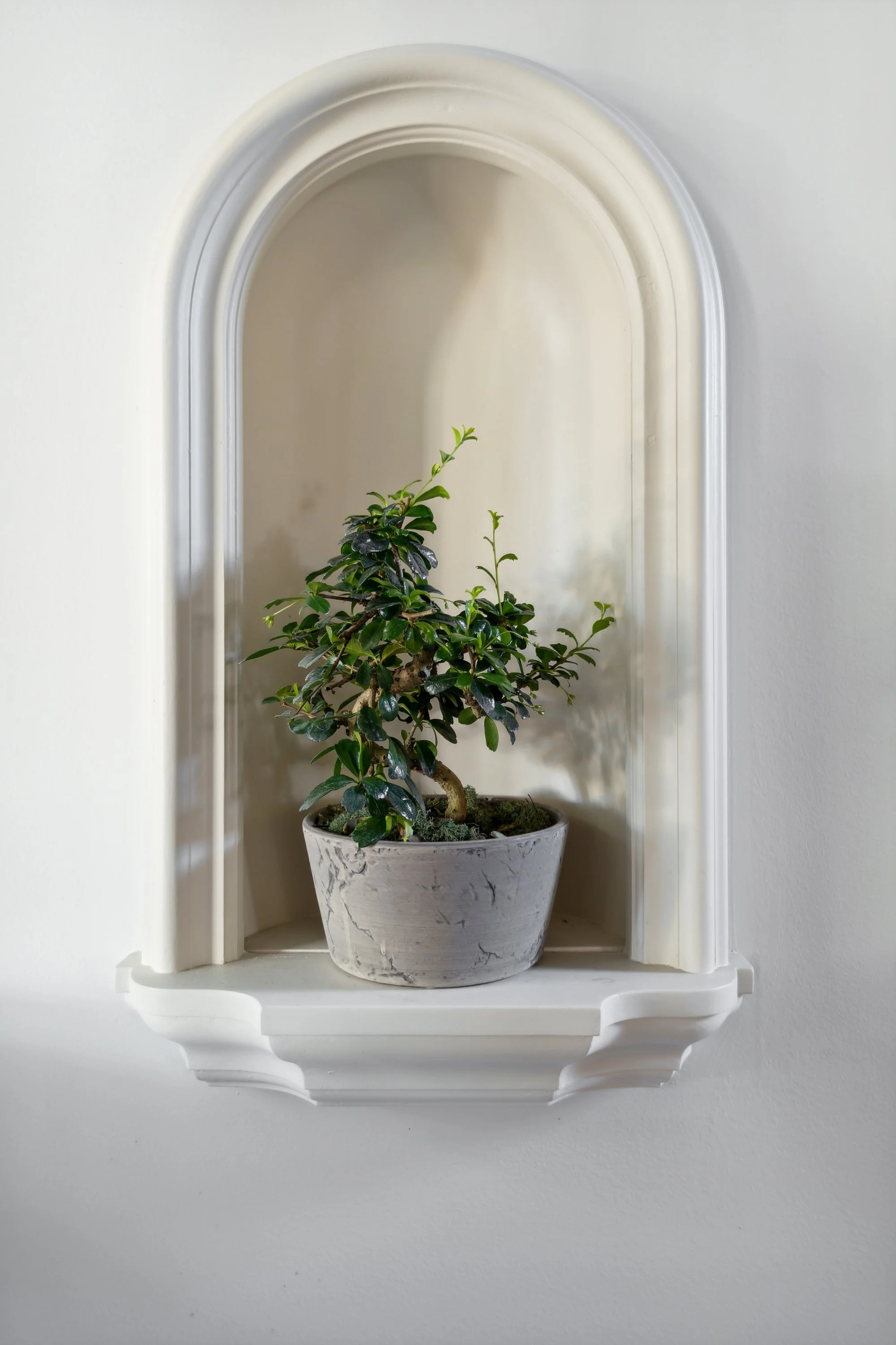 77-301-Washington-Ave-Savannah-GA-31405-WindowStill-23.jpg