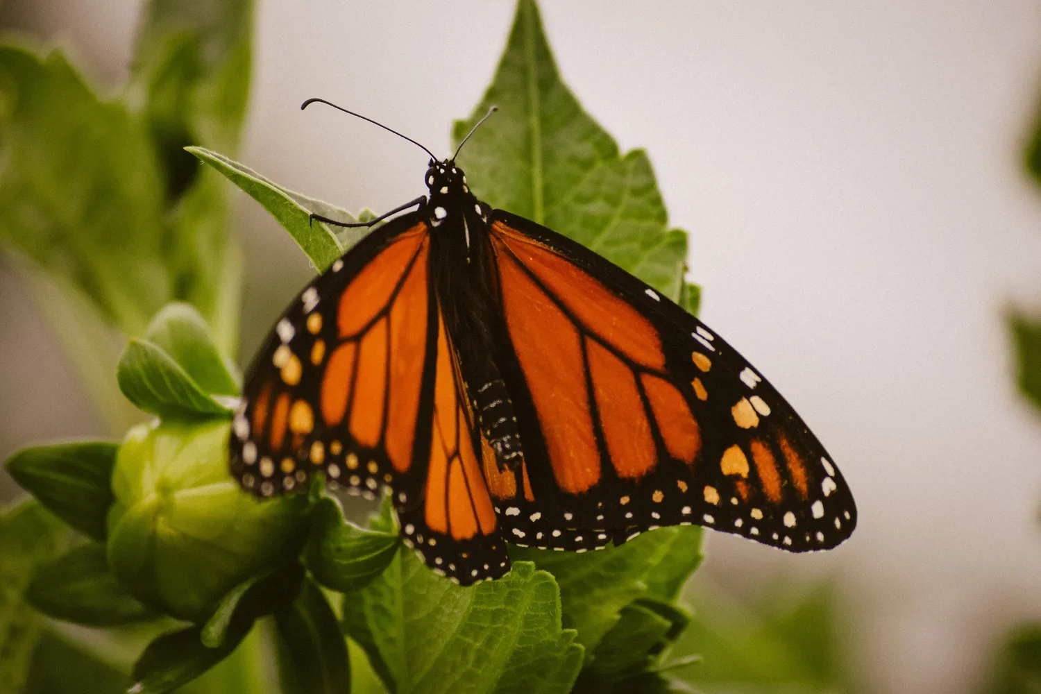 Field Notes: A Creative Writing Workshop - September 16