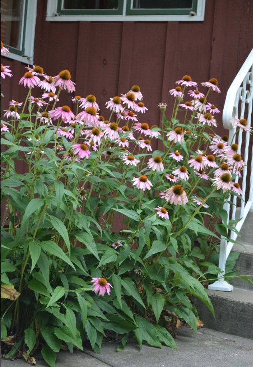 Screenshot 2026-04-03 at 8.14.01 AM.png