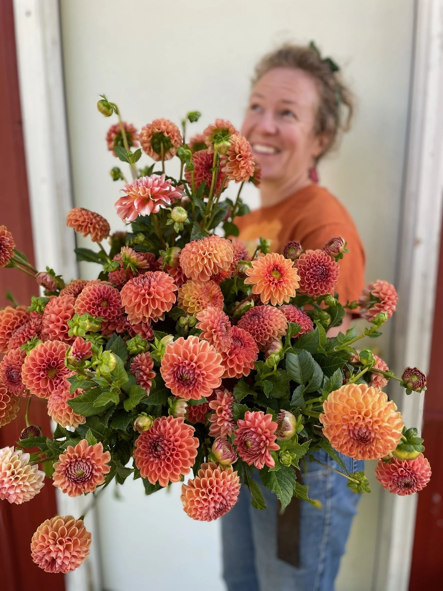A person holds a bunch of orange flowers (dahlias).