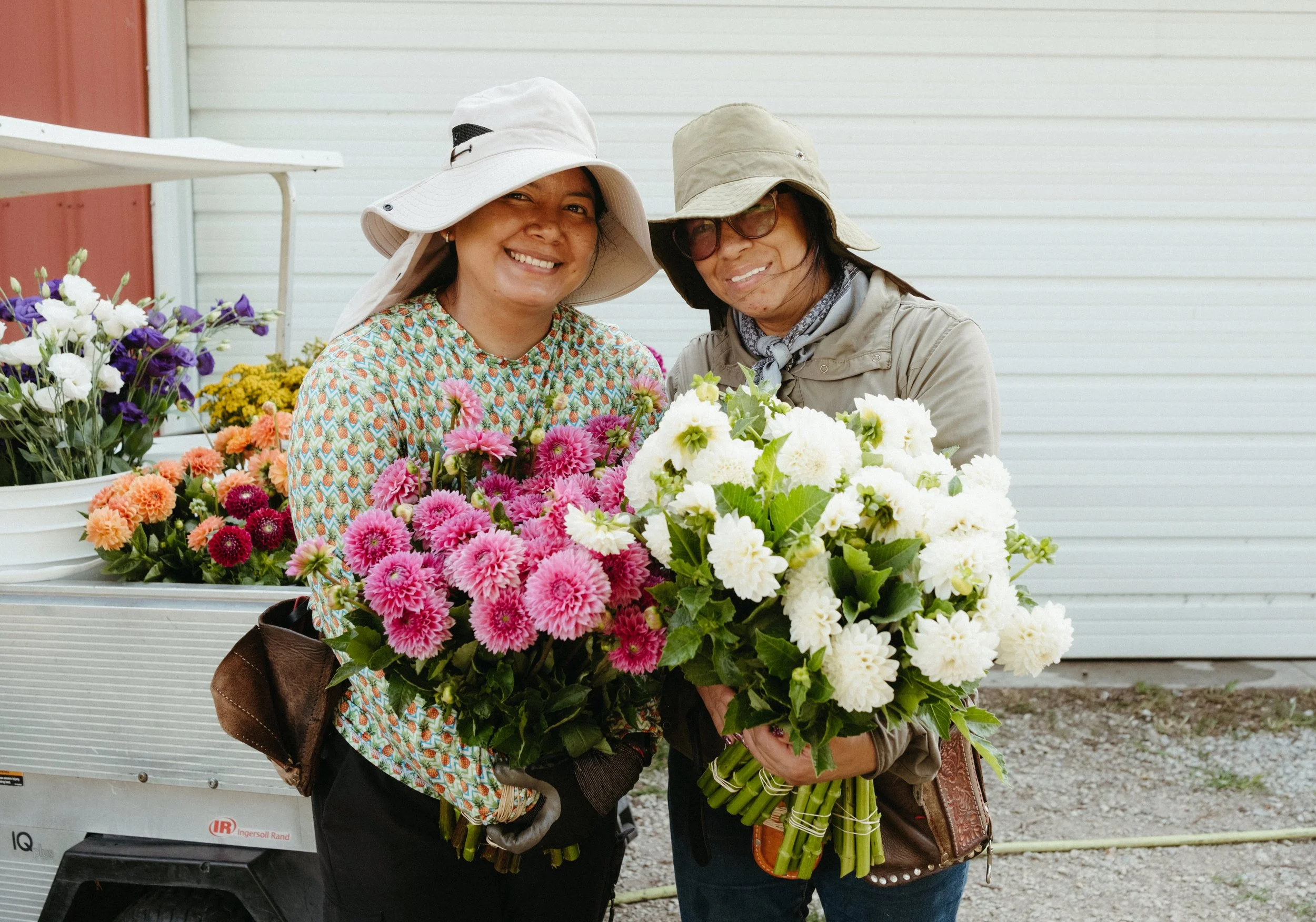 Two smiling Hispanic women wear hats and hold armfuls of pink and white dahlias.