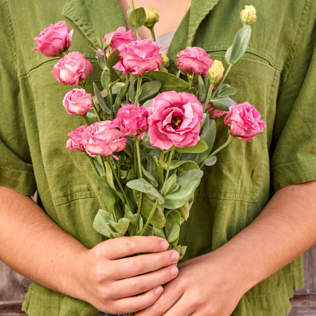 Lisianthus Voyage Deep Rose 4-pack (pre-order for pick-up)