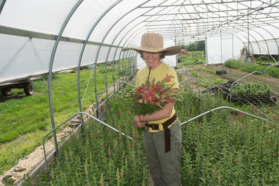 Press Delight Flower Farm