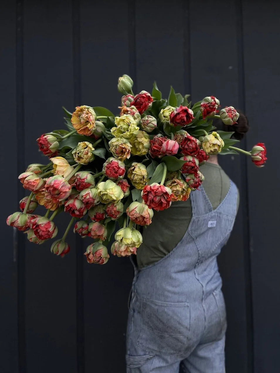 Moris Gudanov - Tulip Bulbs (pre-order for pickup 10/17, 3-6pm)