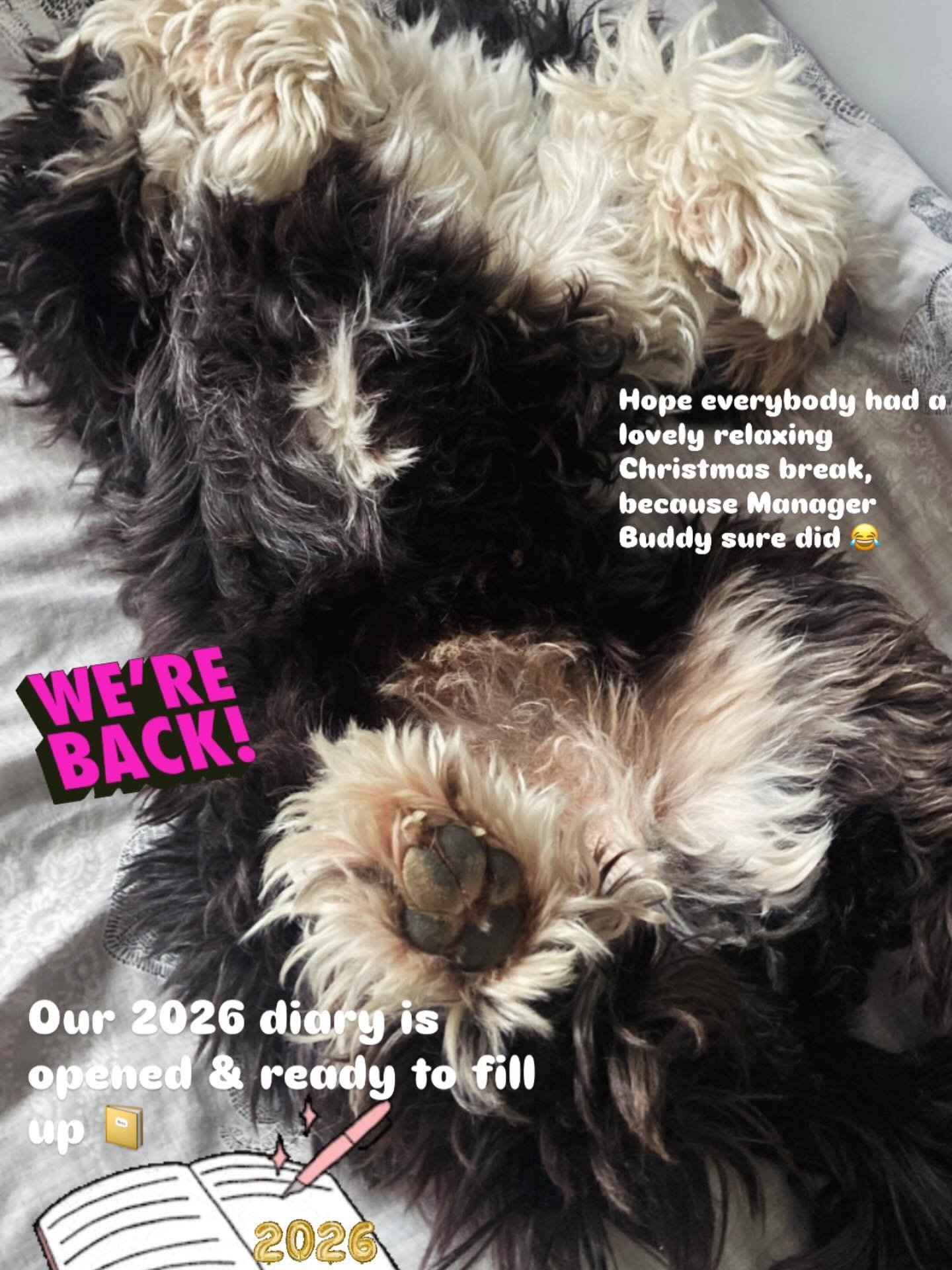 Manager Buddy has been recharged and ready for action again ✂️ Our 2026 diary is opened. Looking forward to another year of pampering 💕