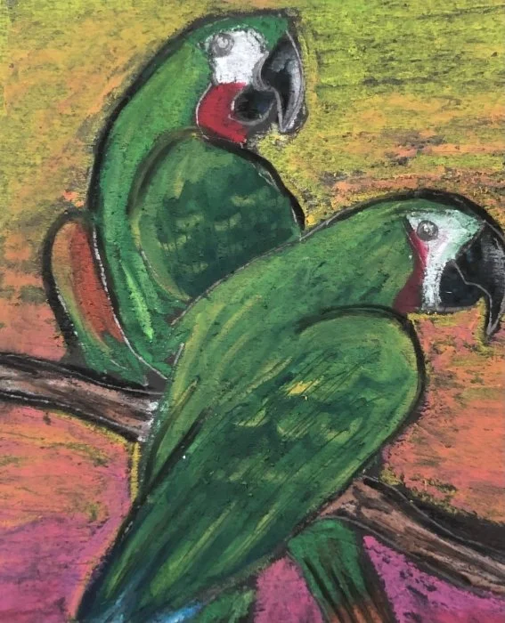 Oil Pastels- Parrot