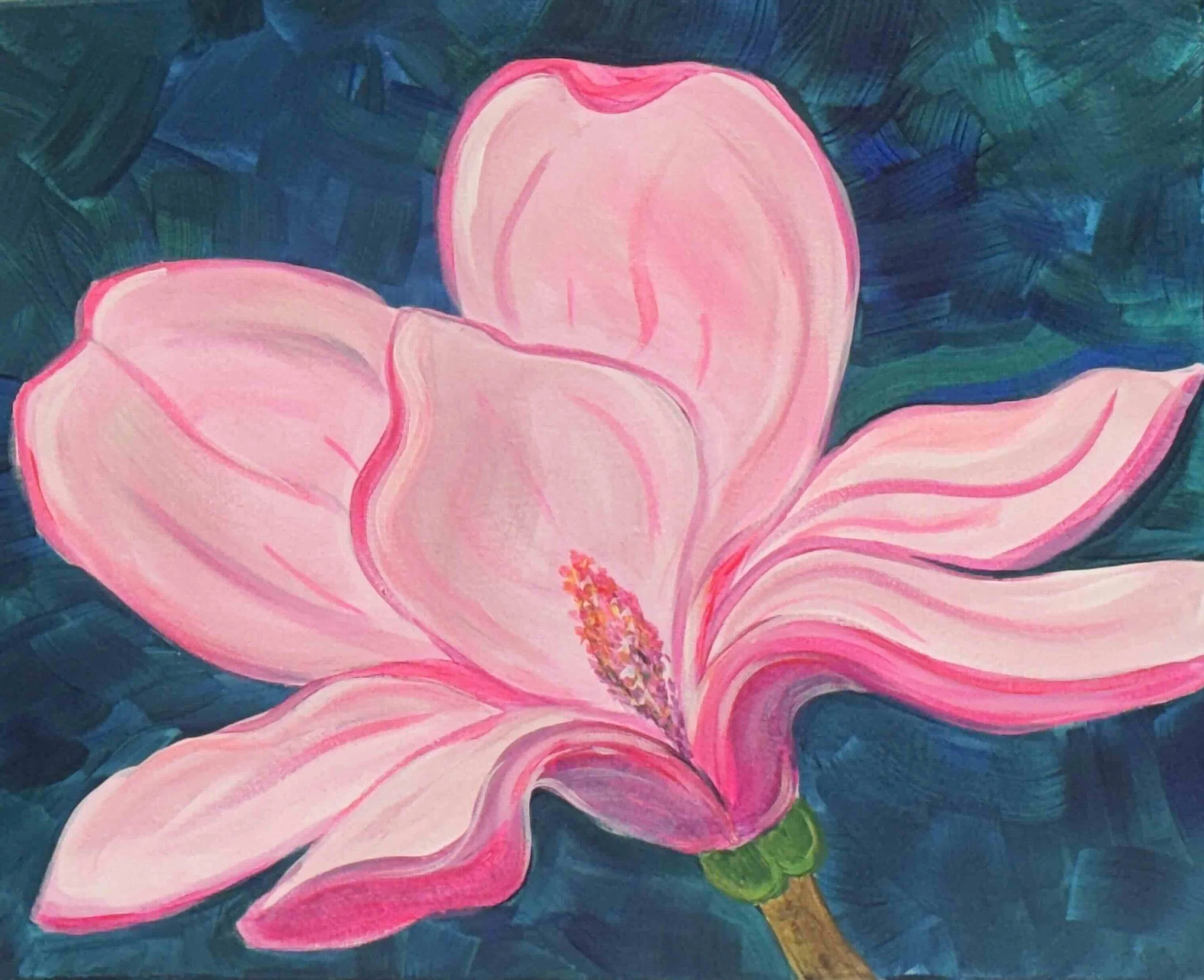 Japanese Magnolia