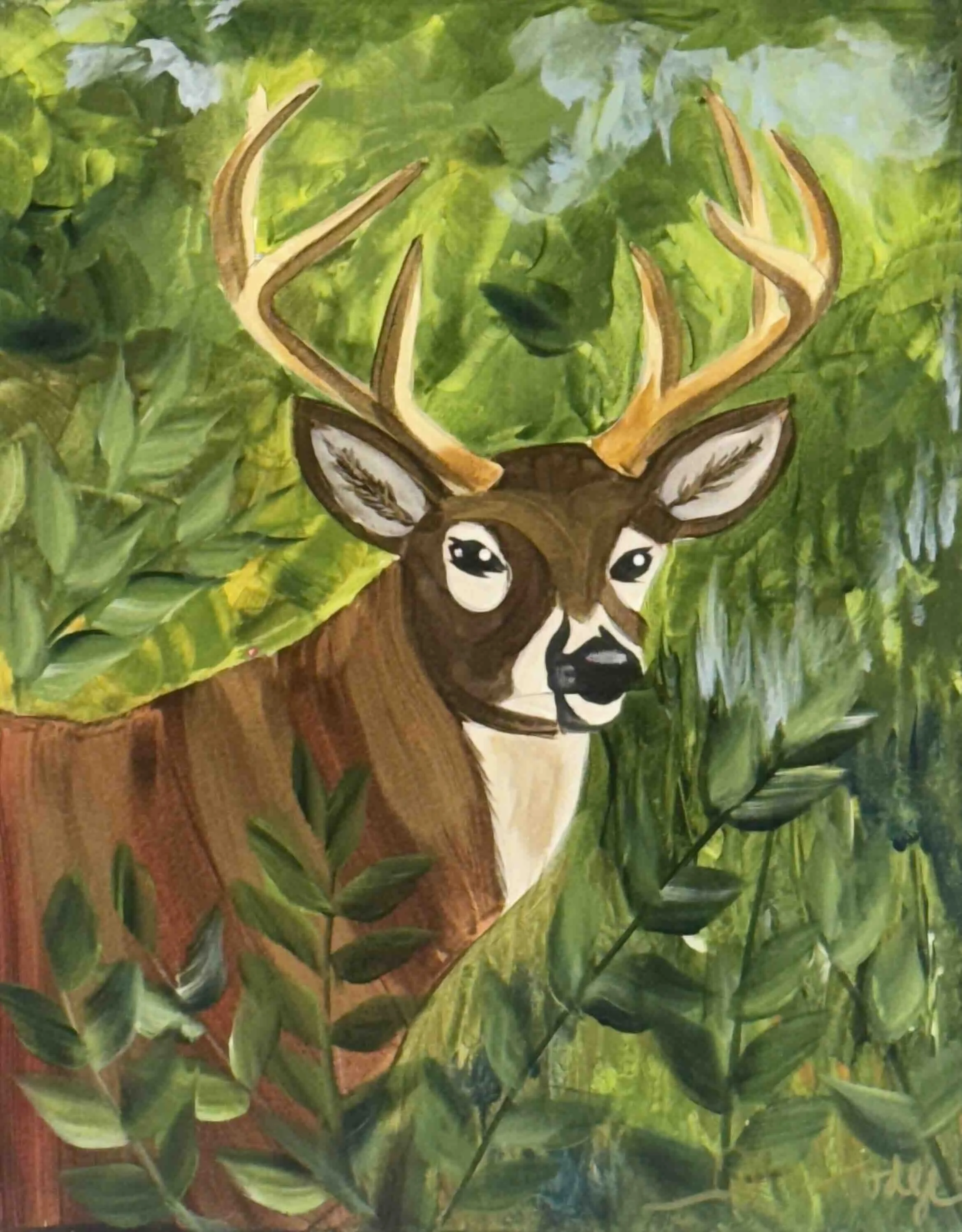 Deer in the Woods