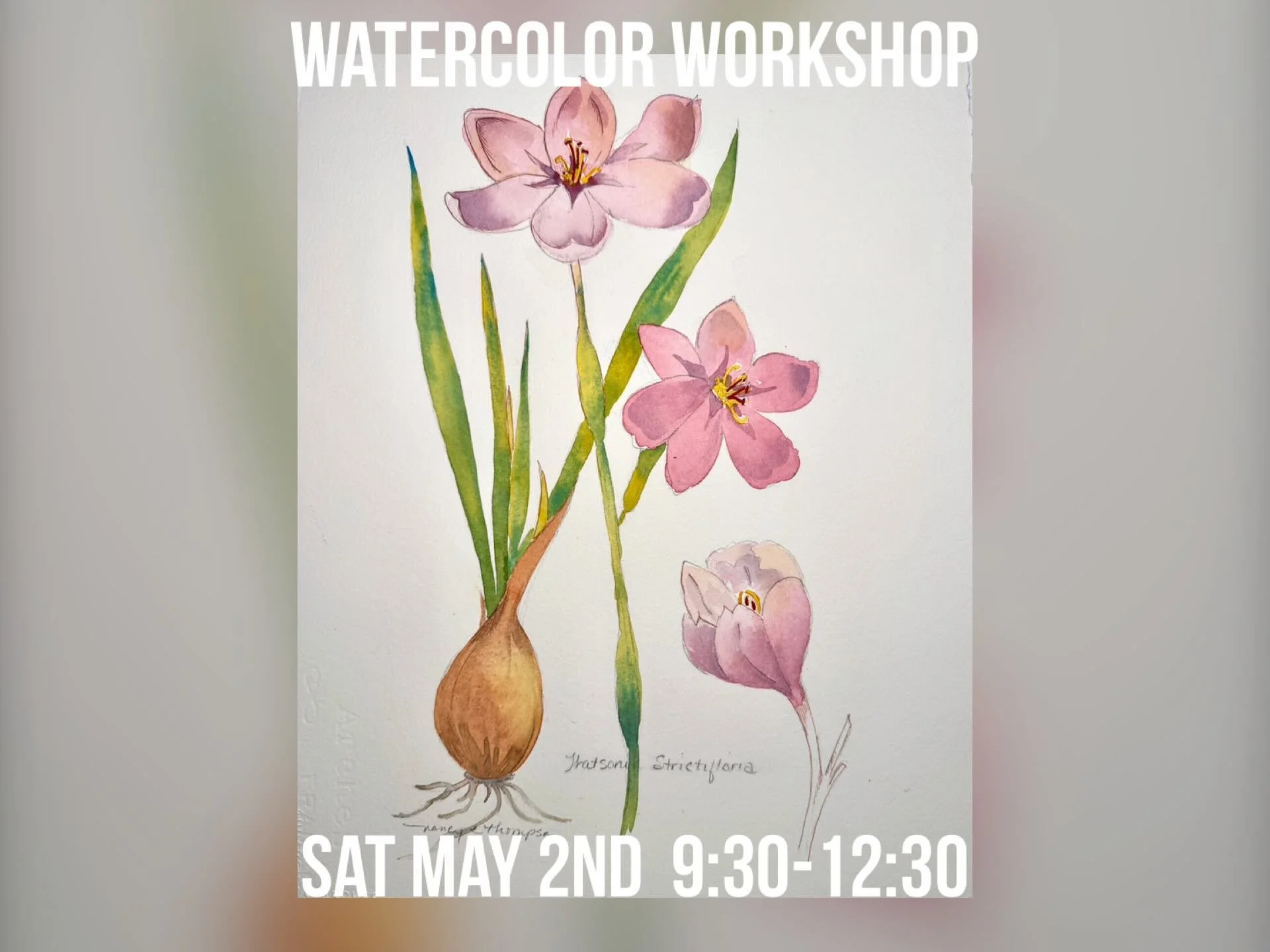 Watercolor Workshop-Botanical Study