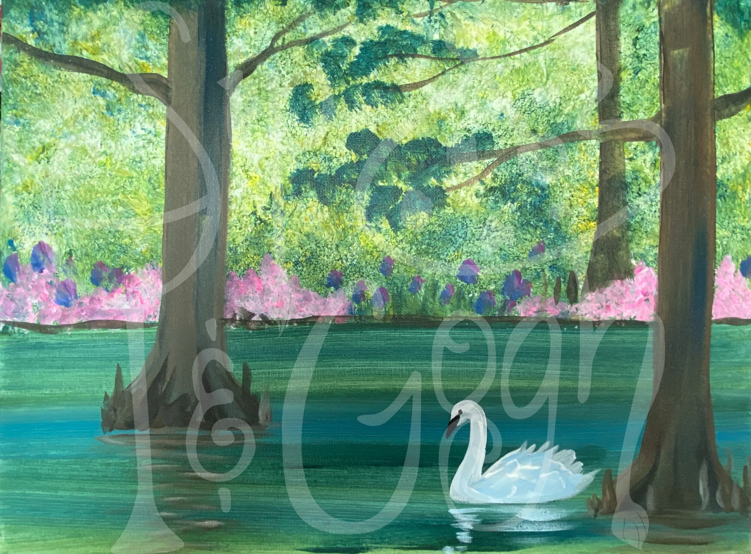 Swan Lake.jpg