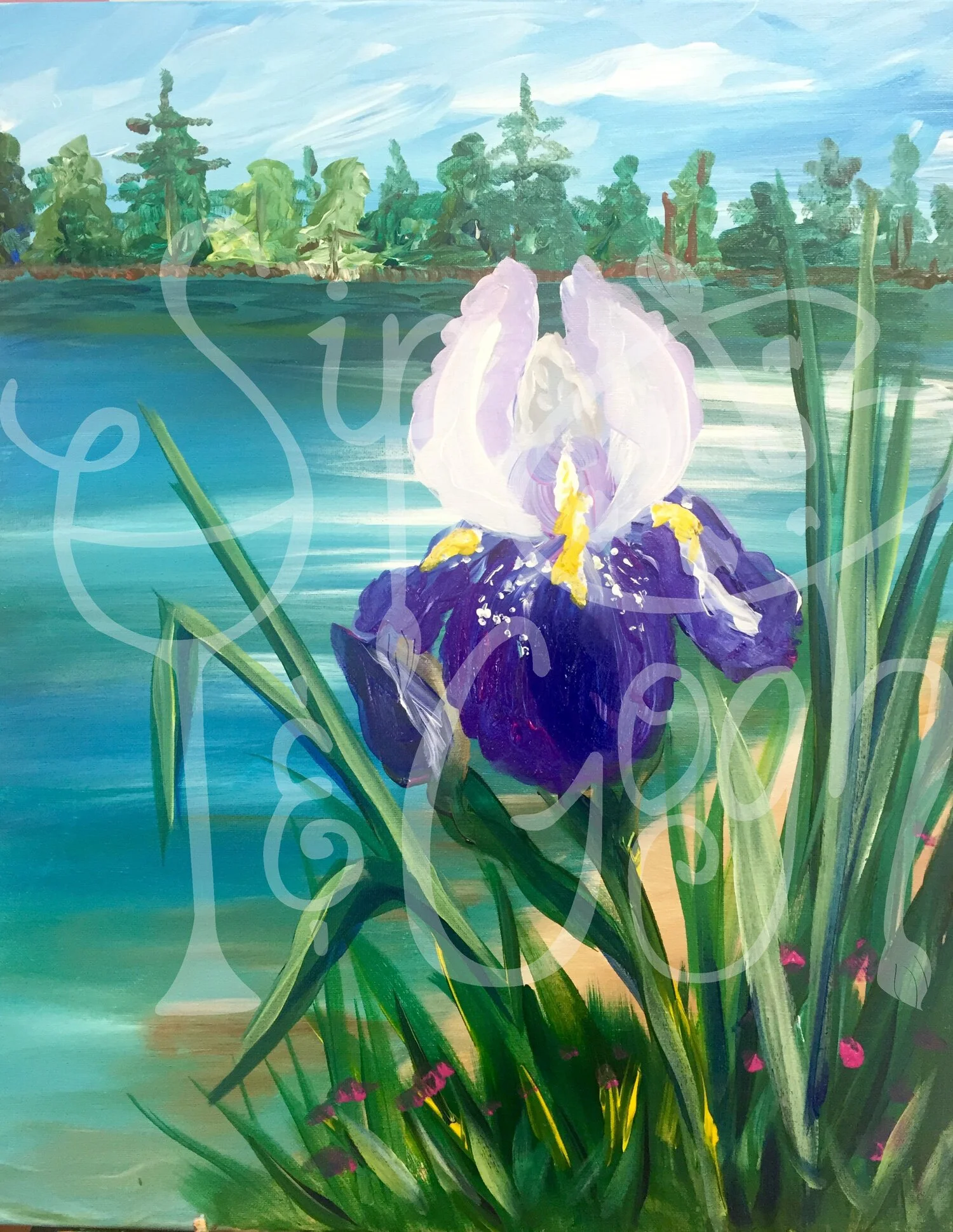 Iris