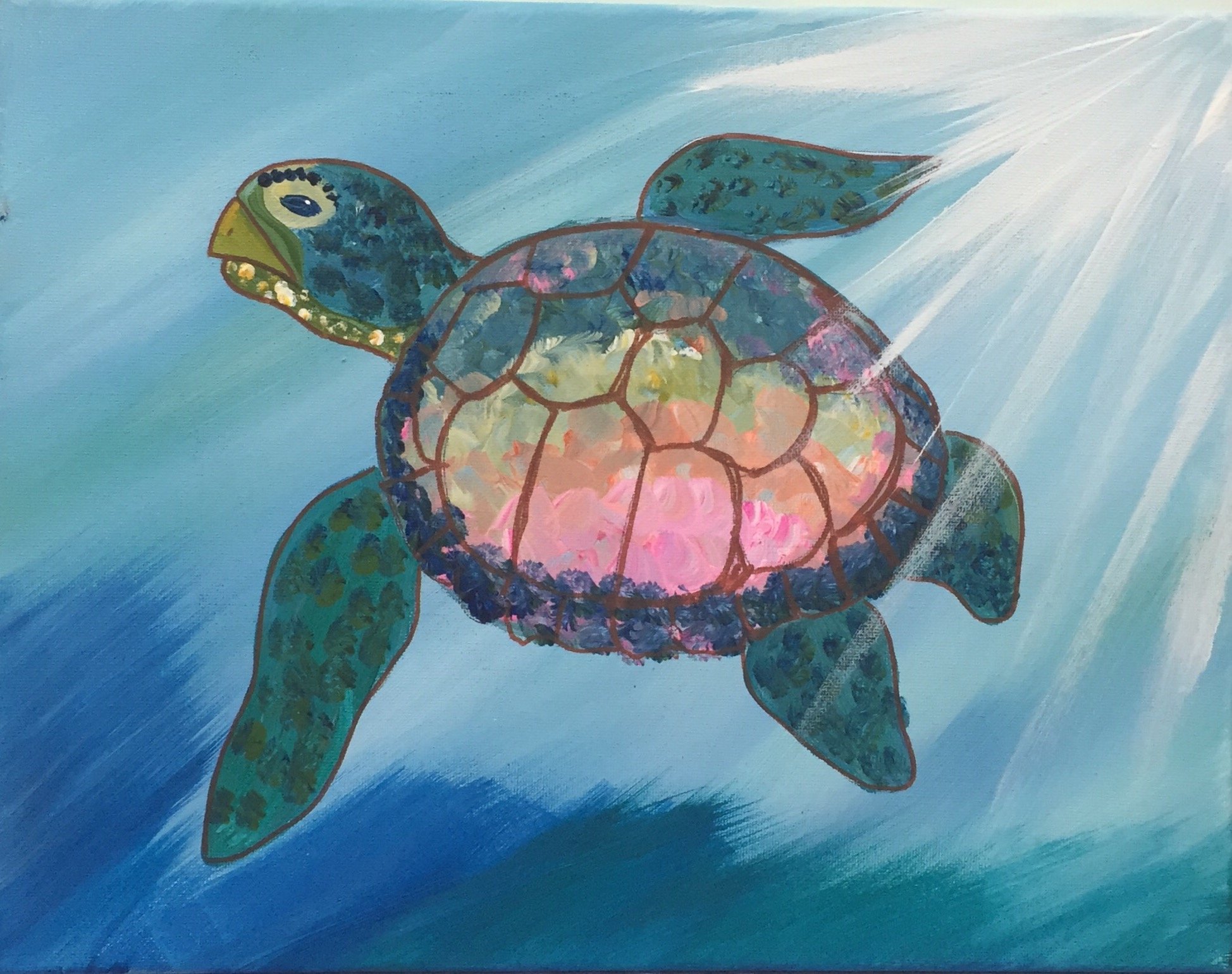 Sea Turtle