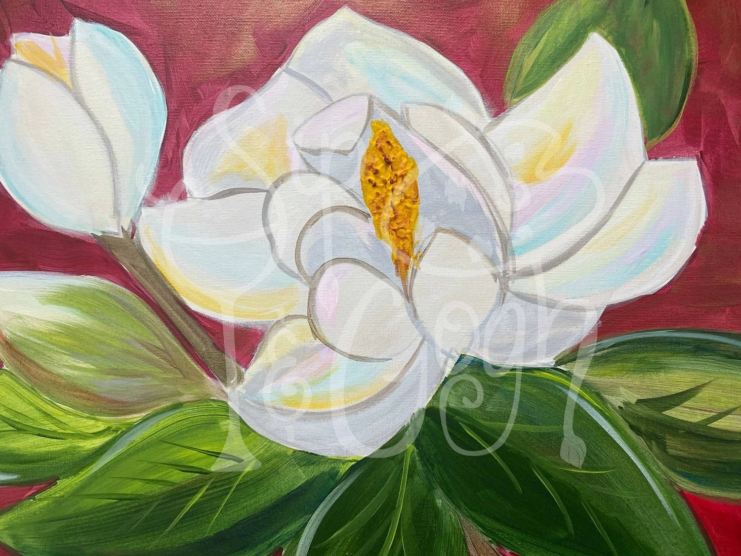 Magnolia