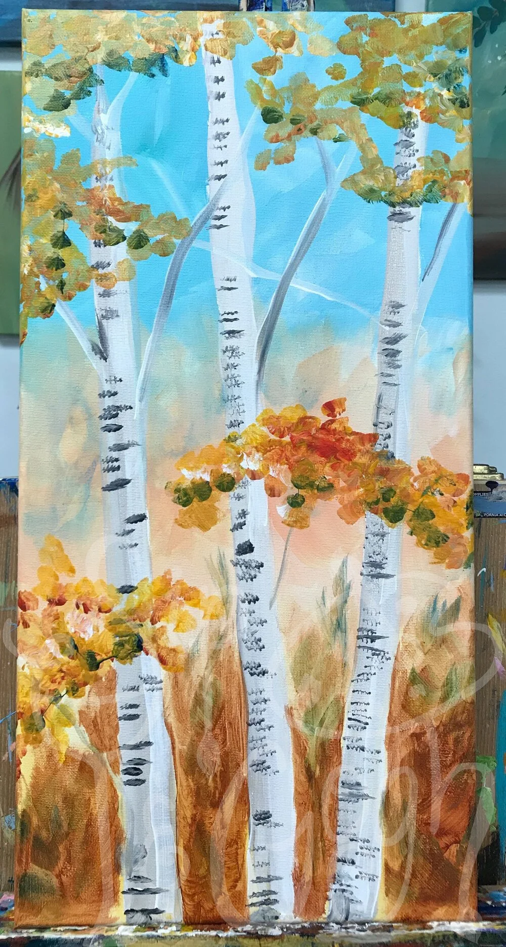Birch Trees