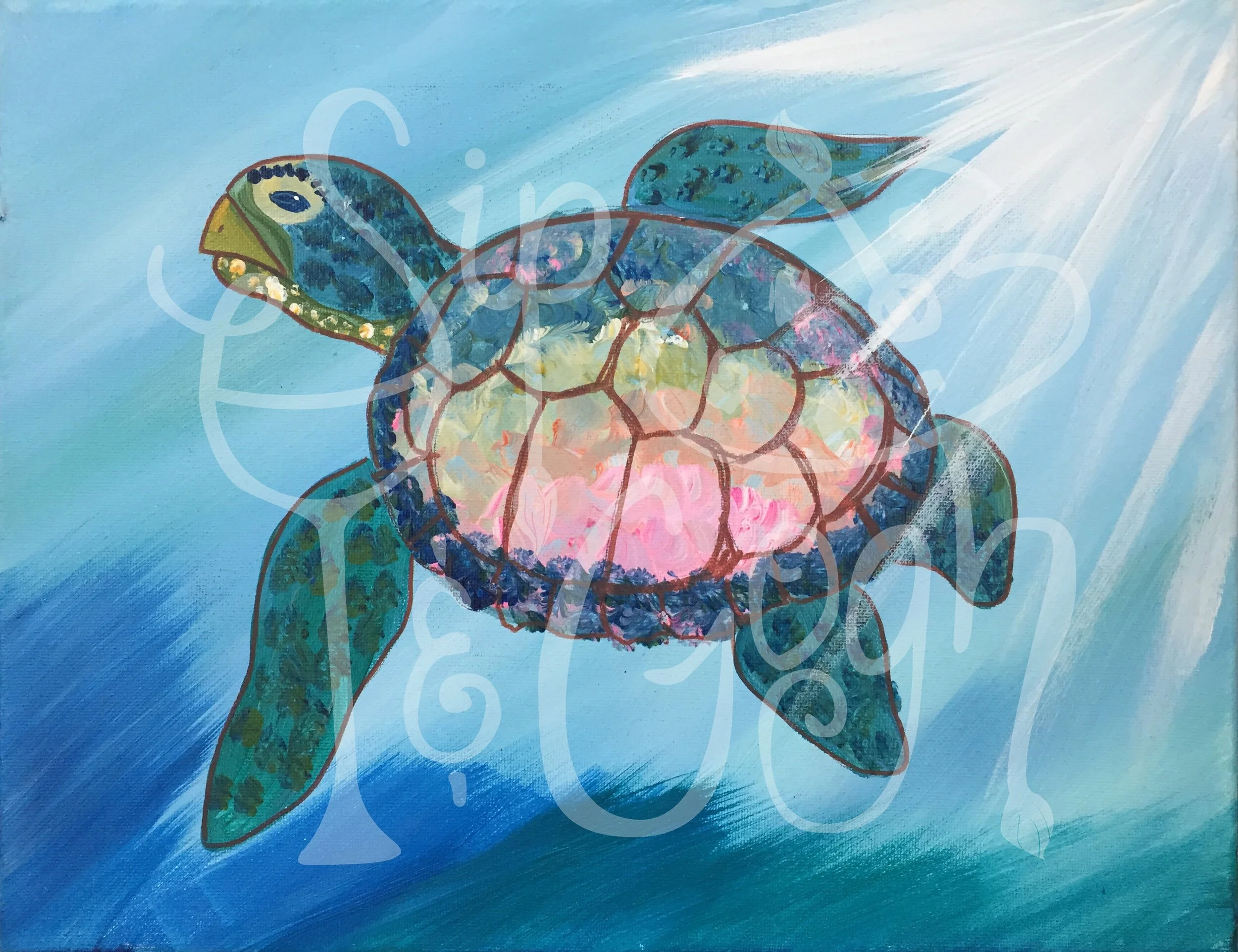 Sea Turtle.jpg