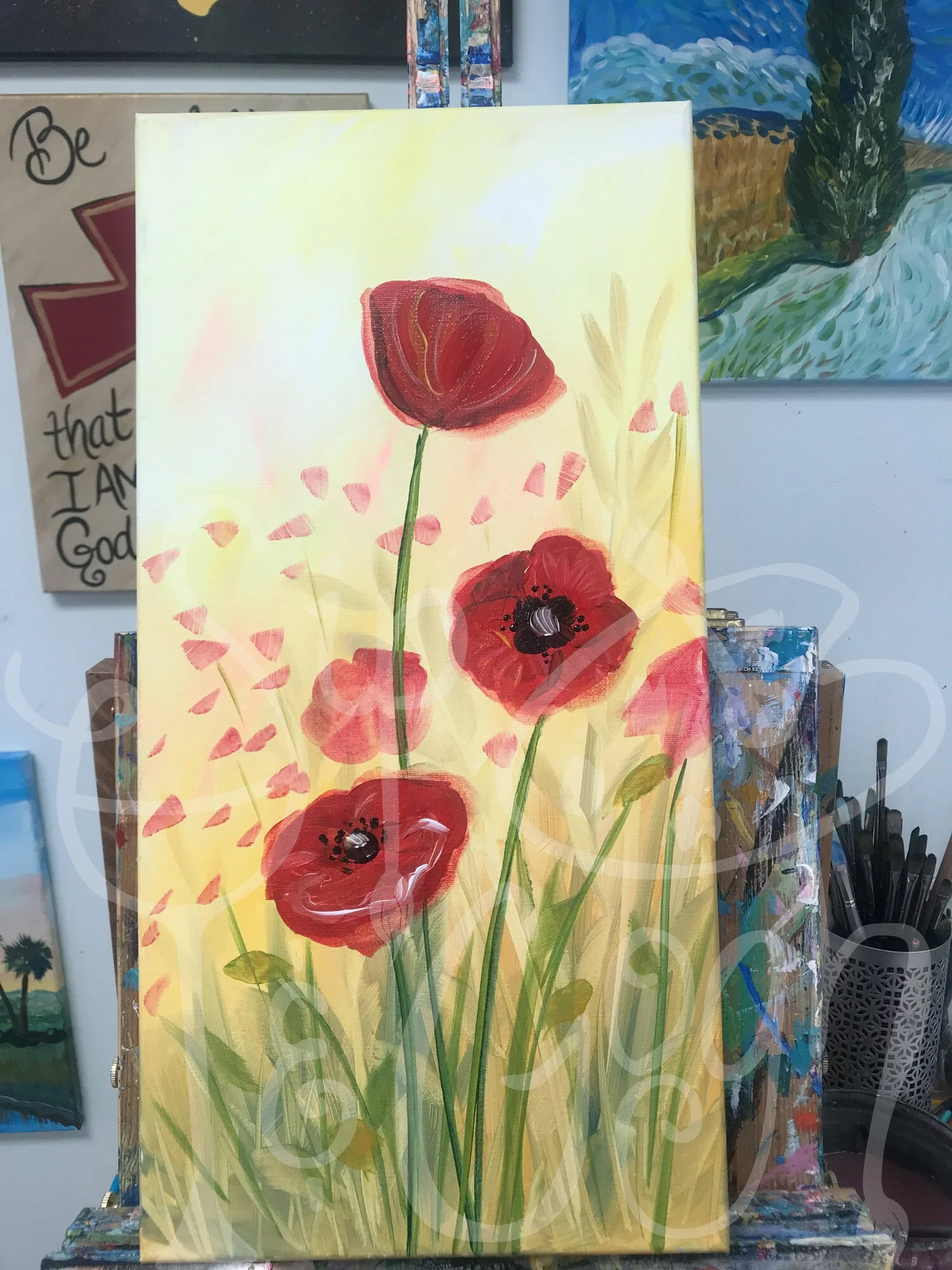 Poppies