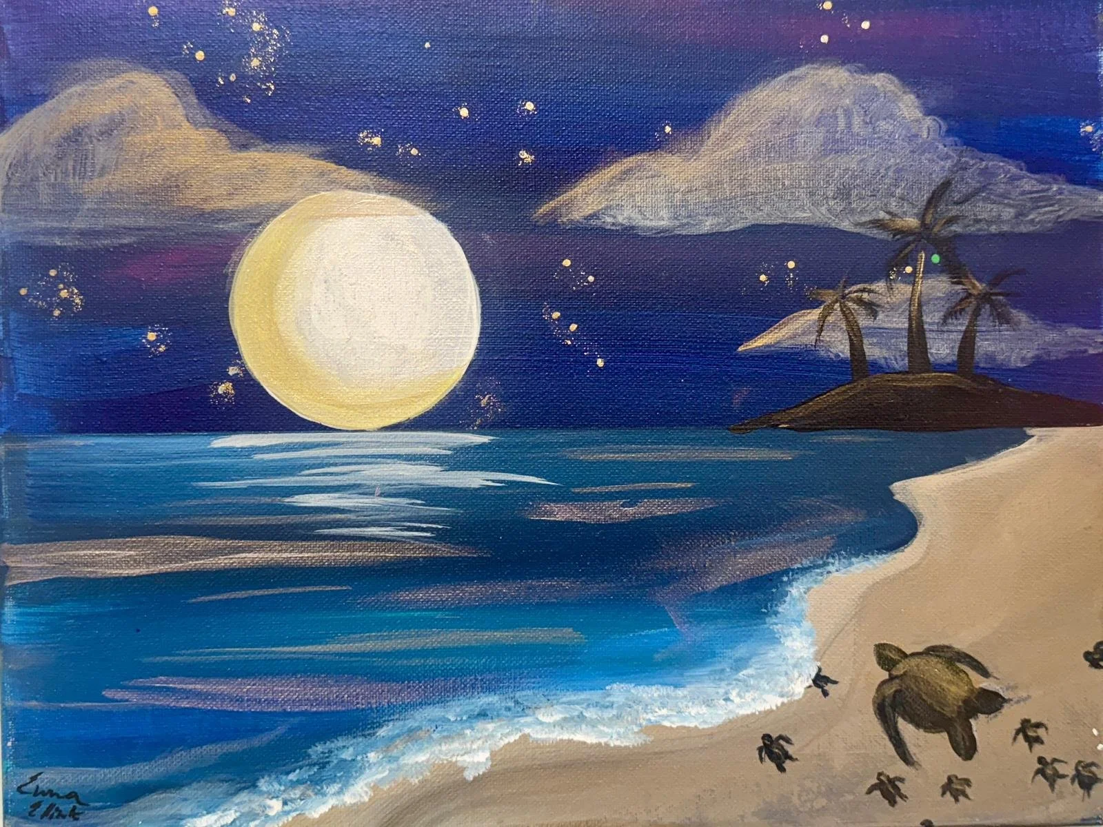 Sea Turtle Paradise.jpeg