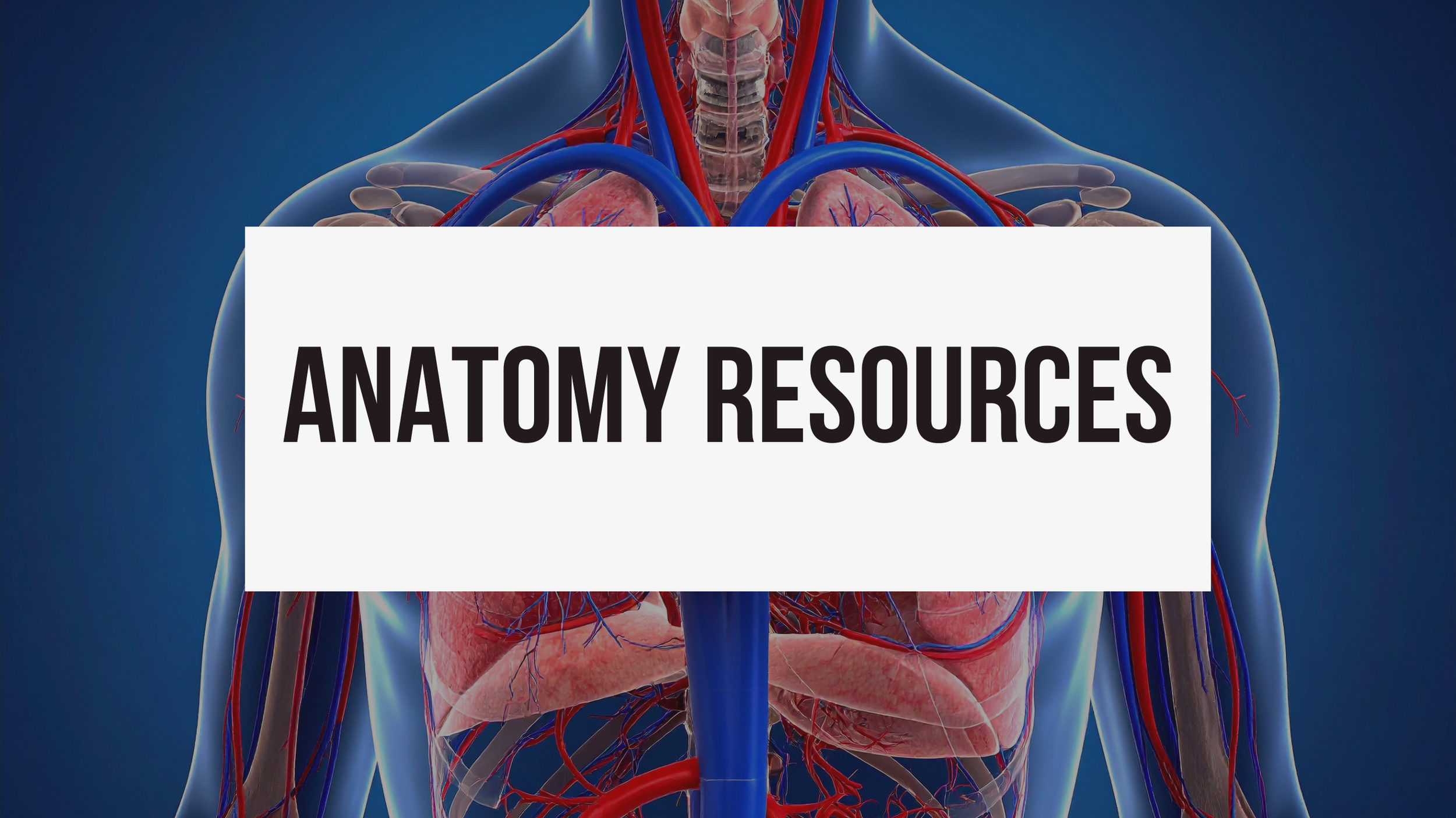 Anatomy Resources