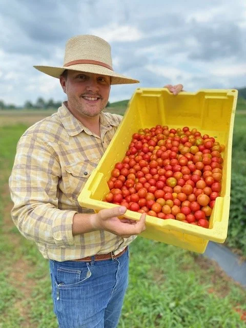 West with tomatoes.jpeg