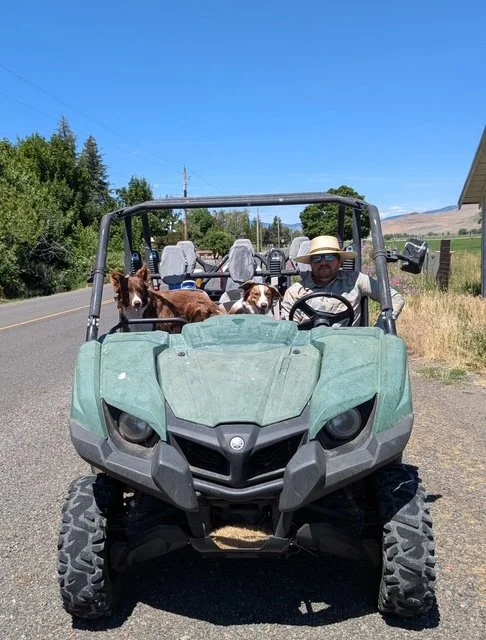 Monitoring in Union July 2025 Andrea Malmberg's dogs.jpeg