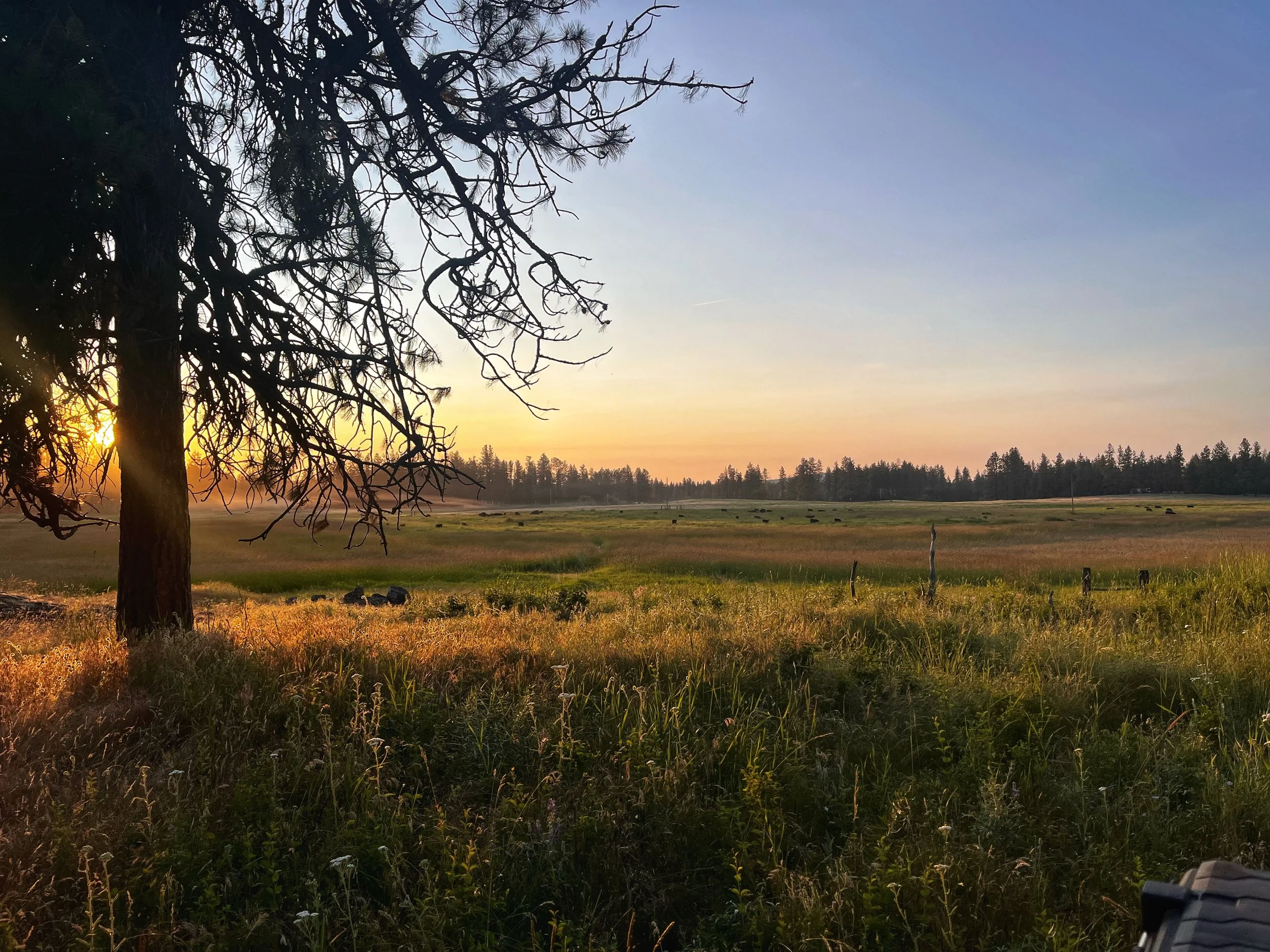 Where Values Meet Action: Holistic Context and Somatic Decision Making Workshop