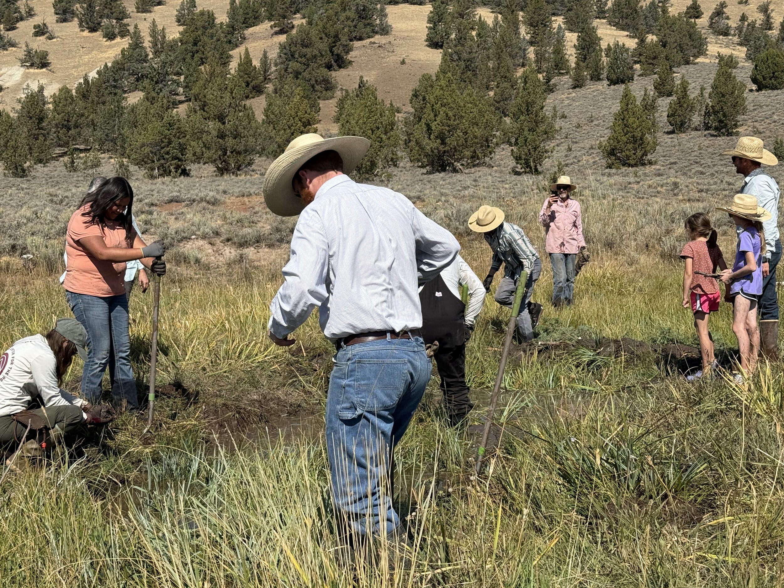 Giving a Dam: A Day of Stewardship and Engagement Restoring Floodplains by Mimicking Beavers